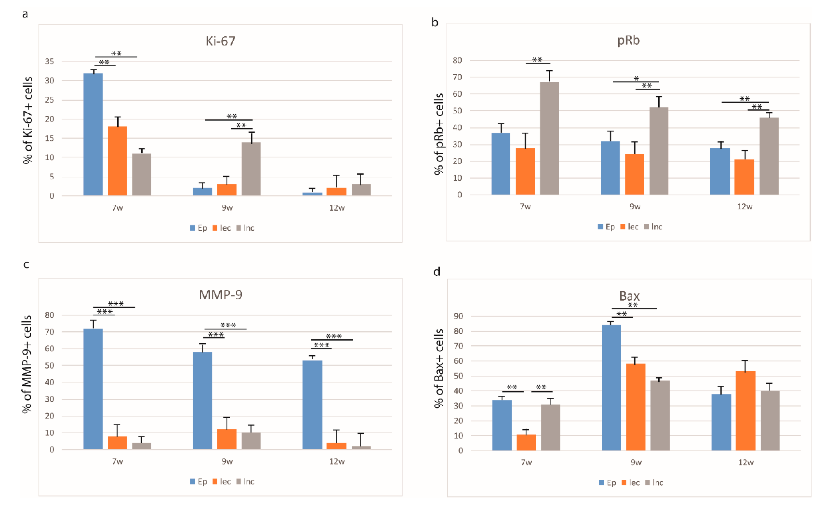 Life 11 00164 g002 Life 11 00164 g002