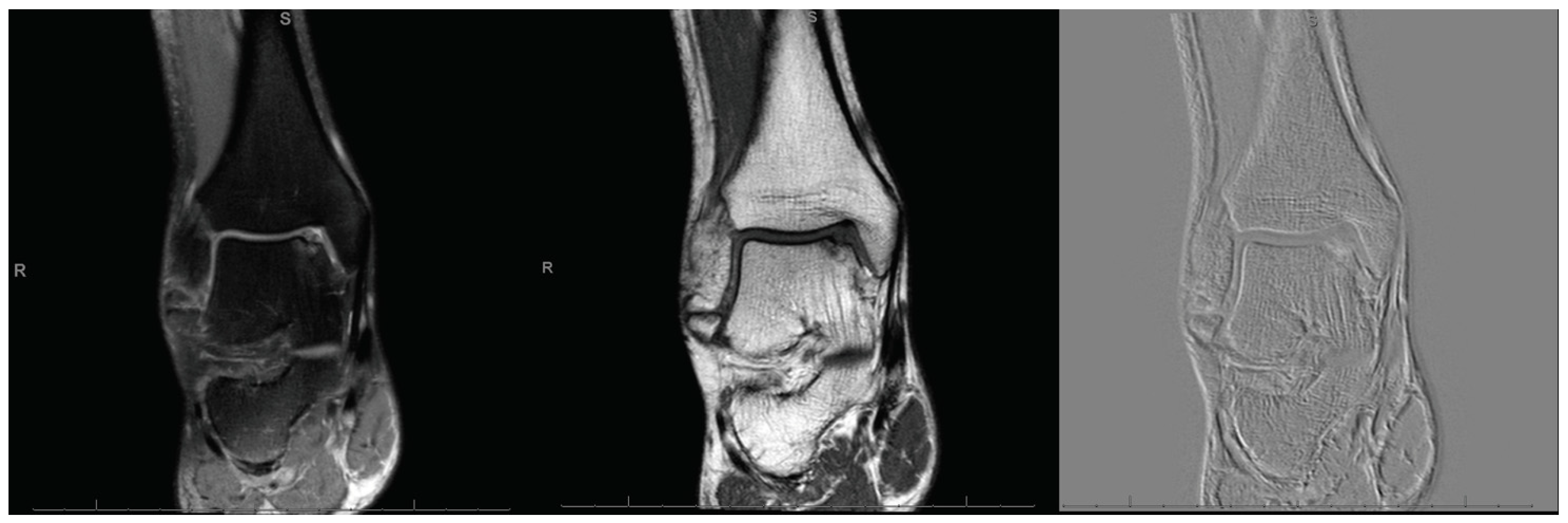 Life 11 00244 g001 Life 11 00244 g001