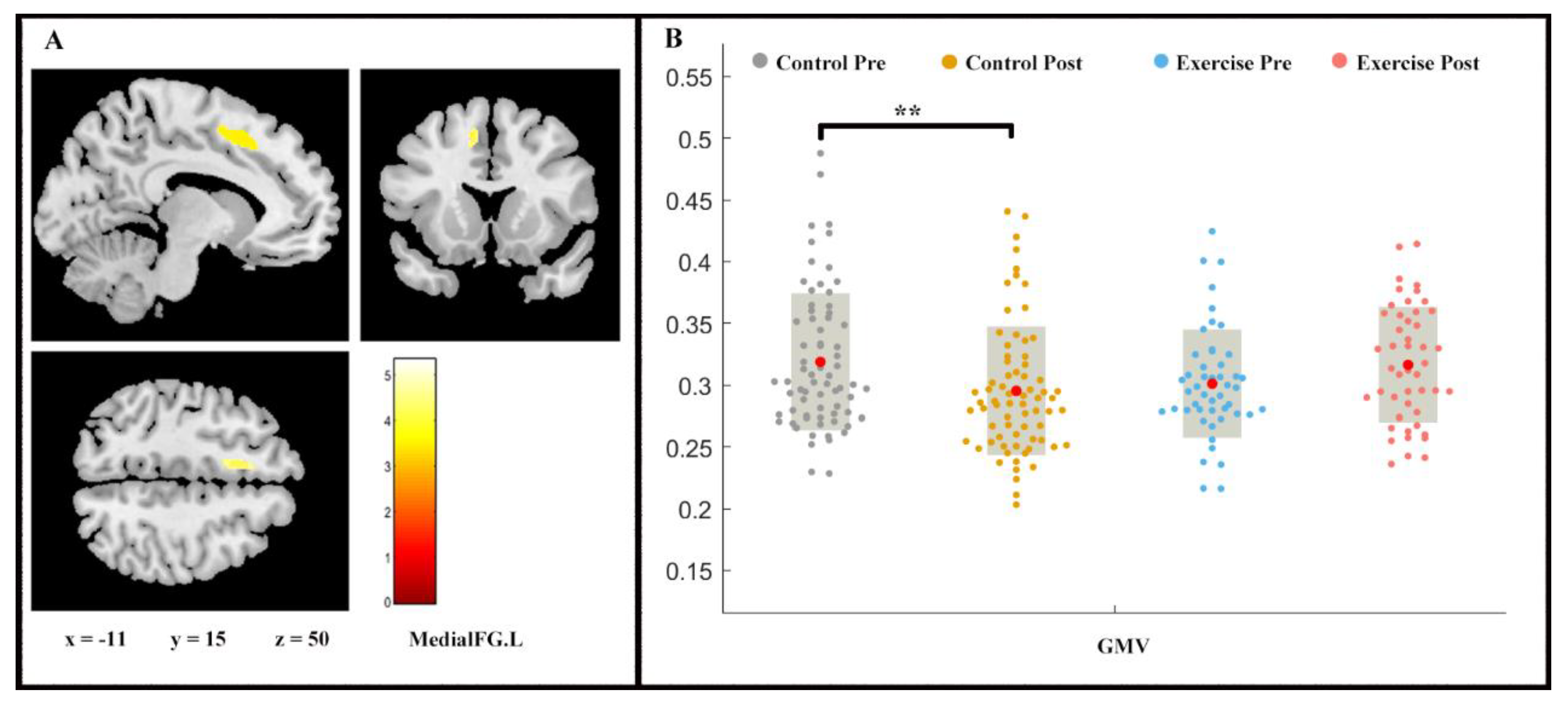 Life 11 00292 g002 Life 11 00292 g002