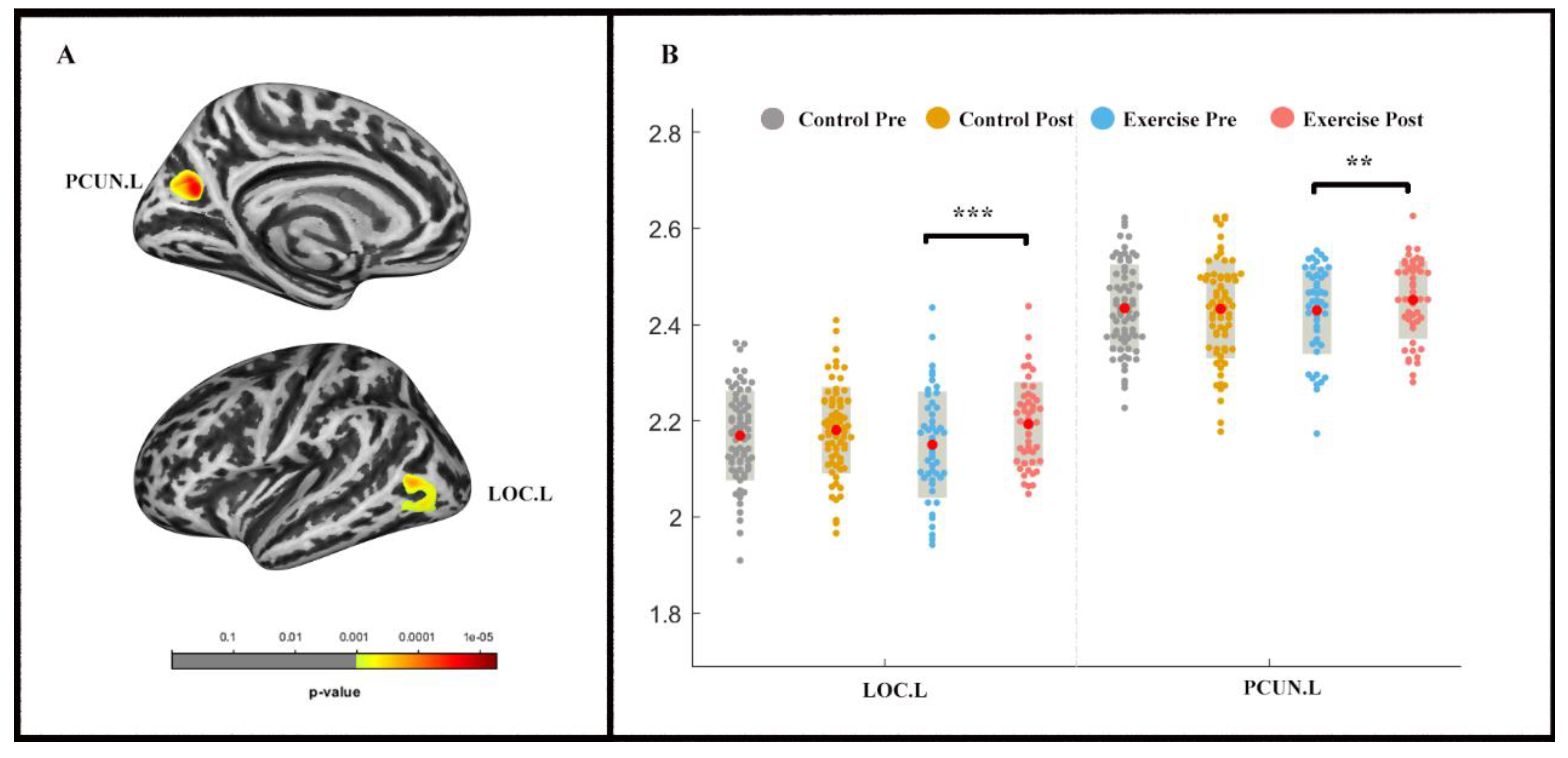Life 11 00292 g003 Life 11 00292 g003