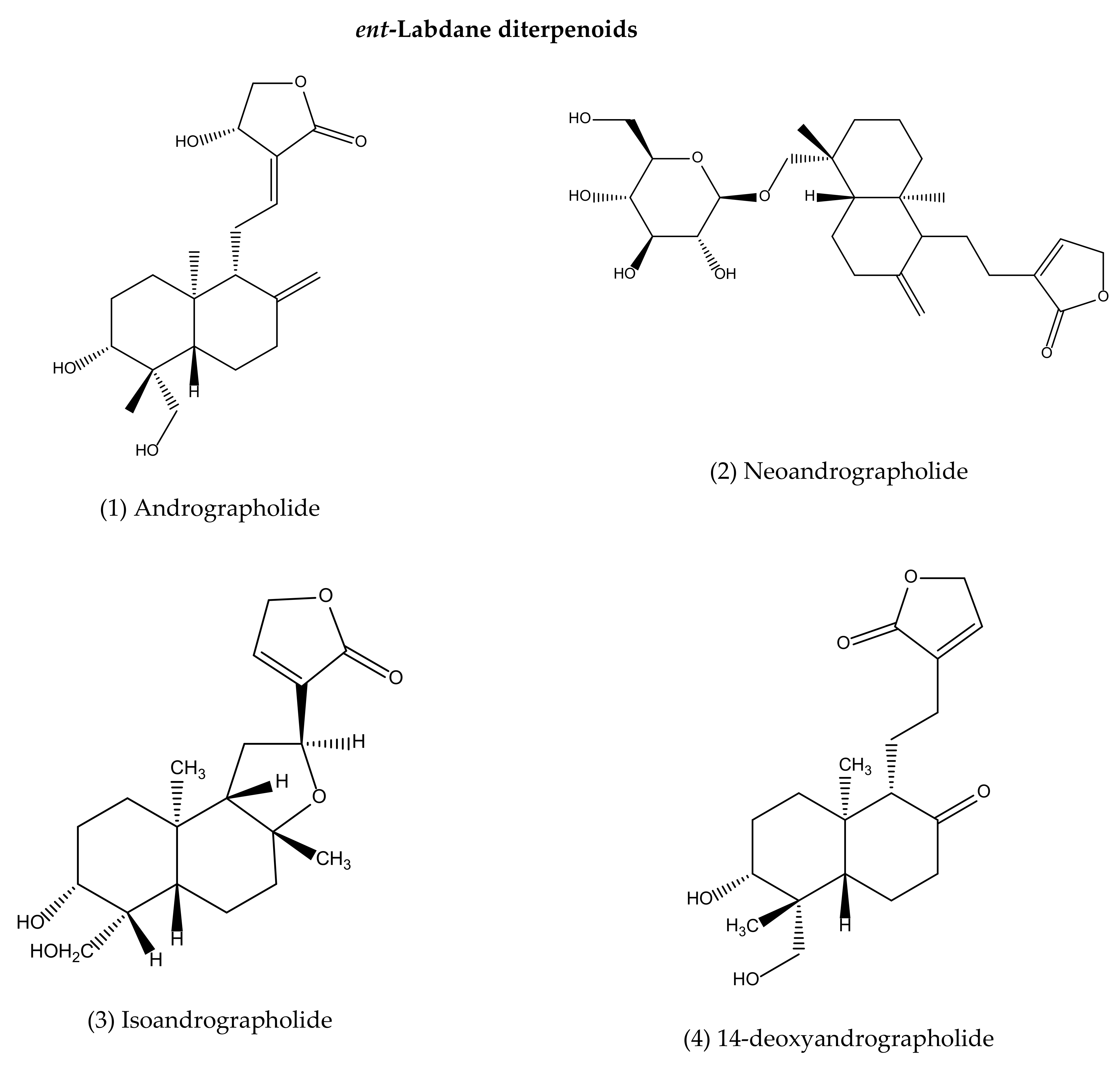 Life 11 00348 g003a Life 11 00348 g003a