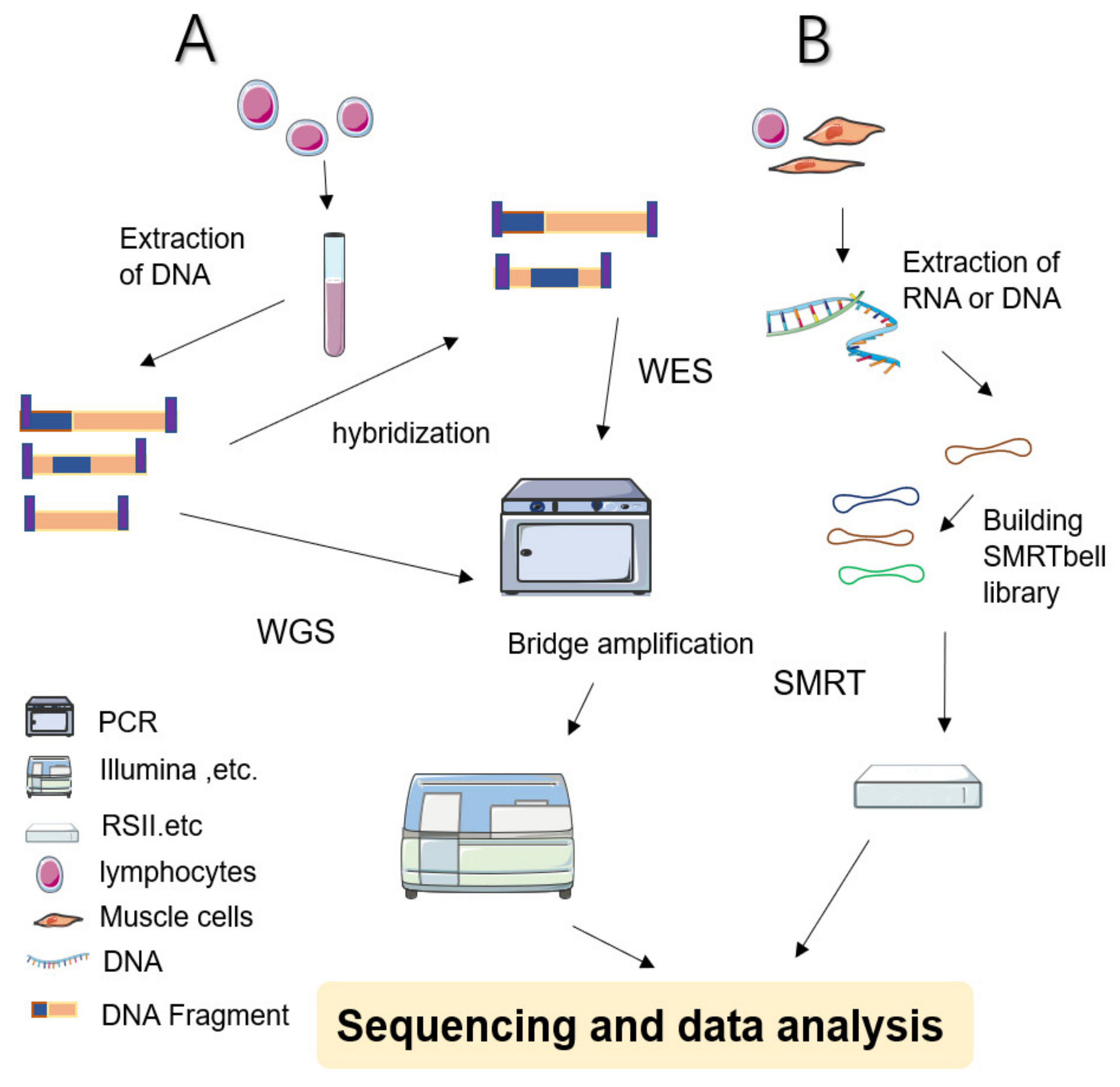 Life 11 00361 g001 Life 11 00361 g001