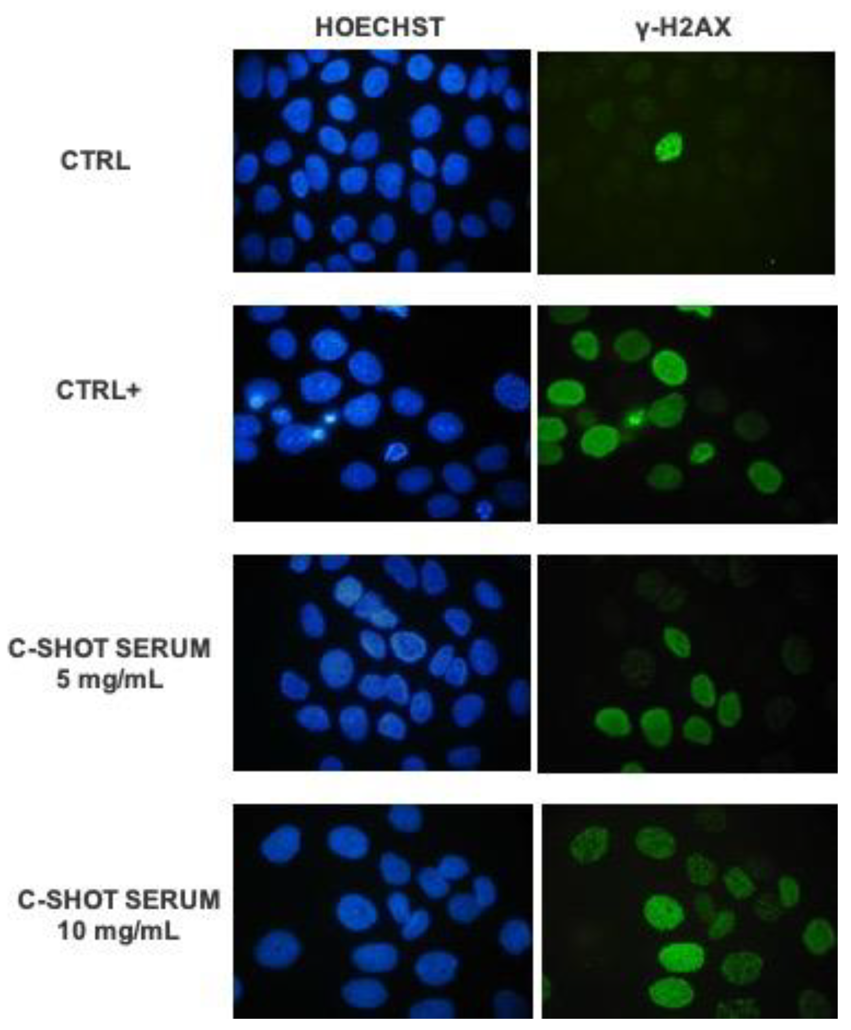 Life 11 00406 g004 Life 11 00406 g004