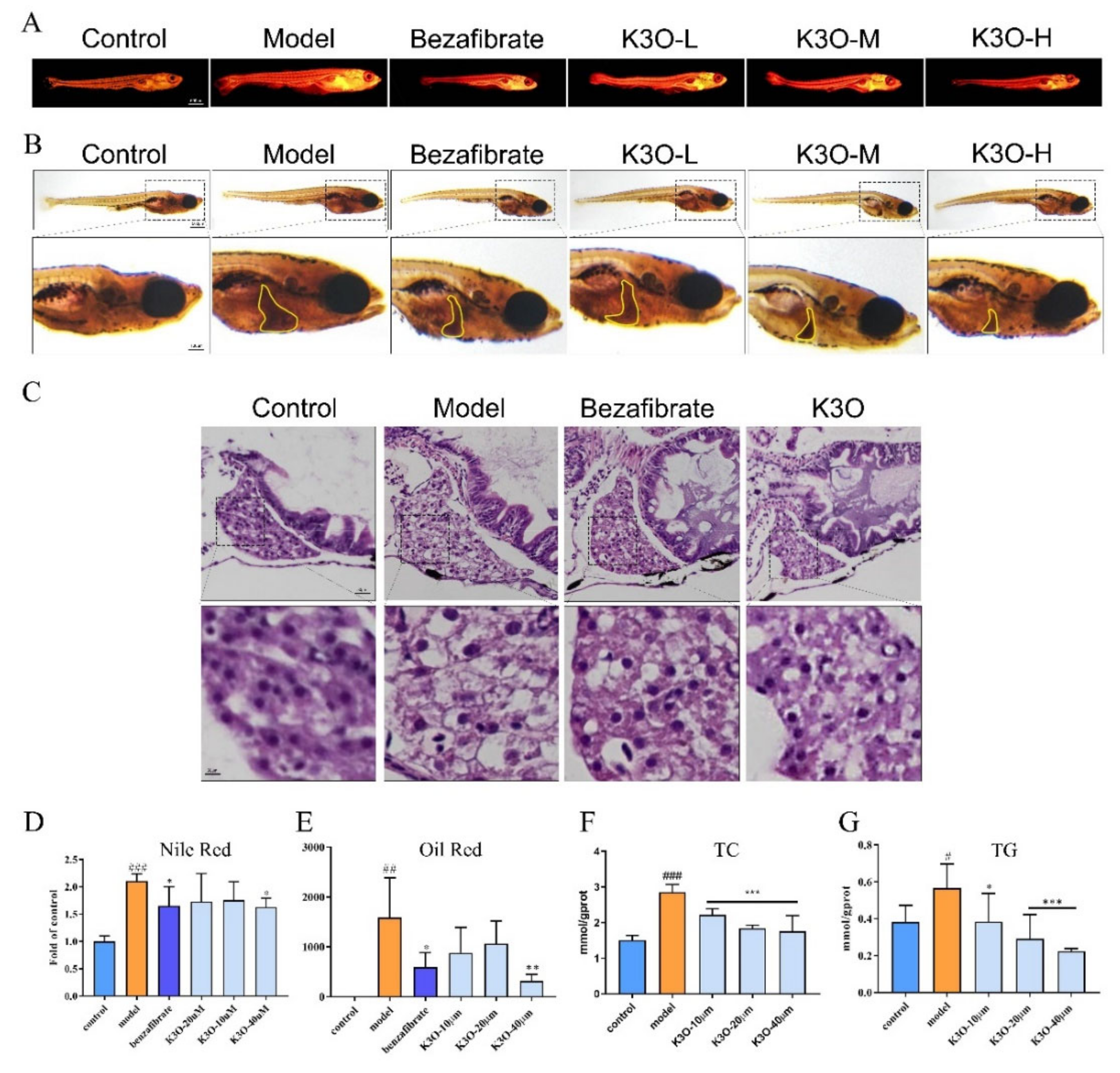 Life 11 00445 g002 Life 11 00445 g002