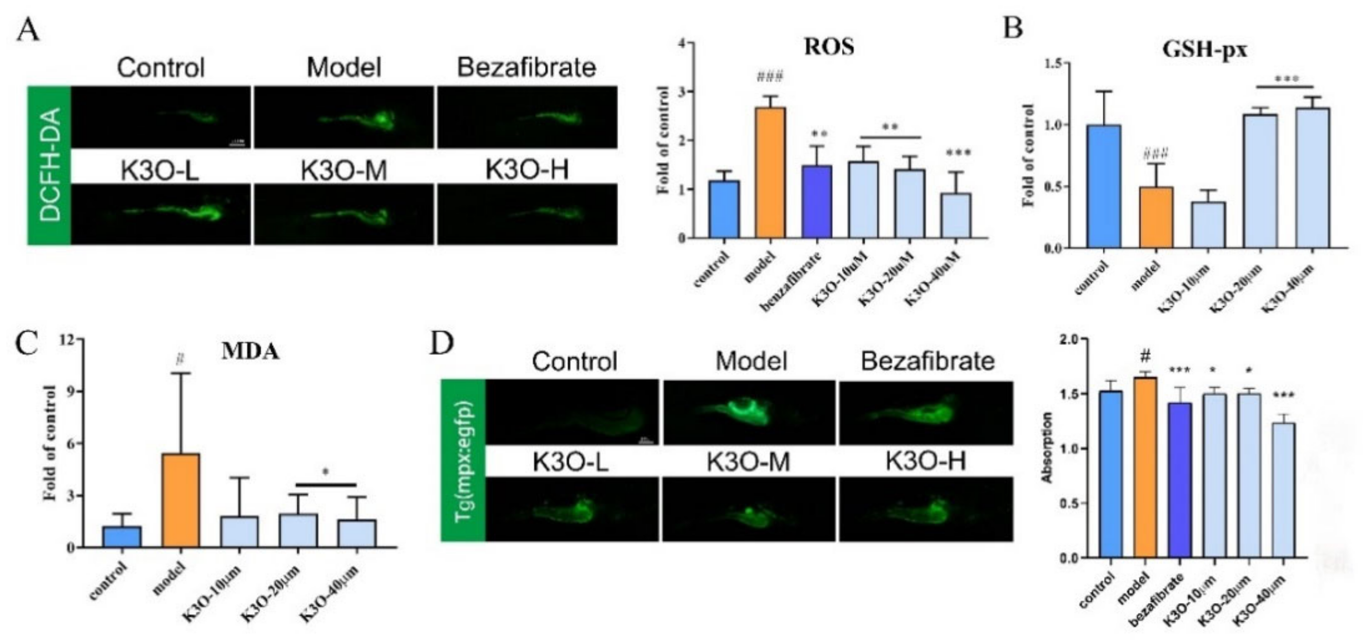 Life 11 00445 g003 Life 11 00445 g003