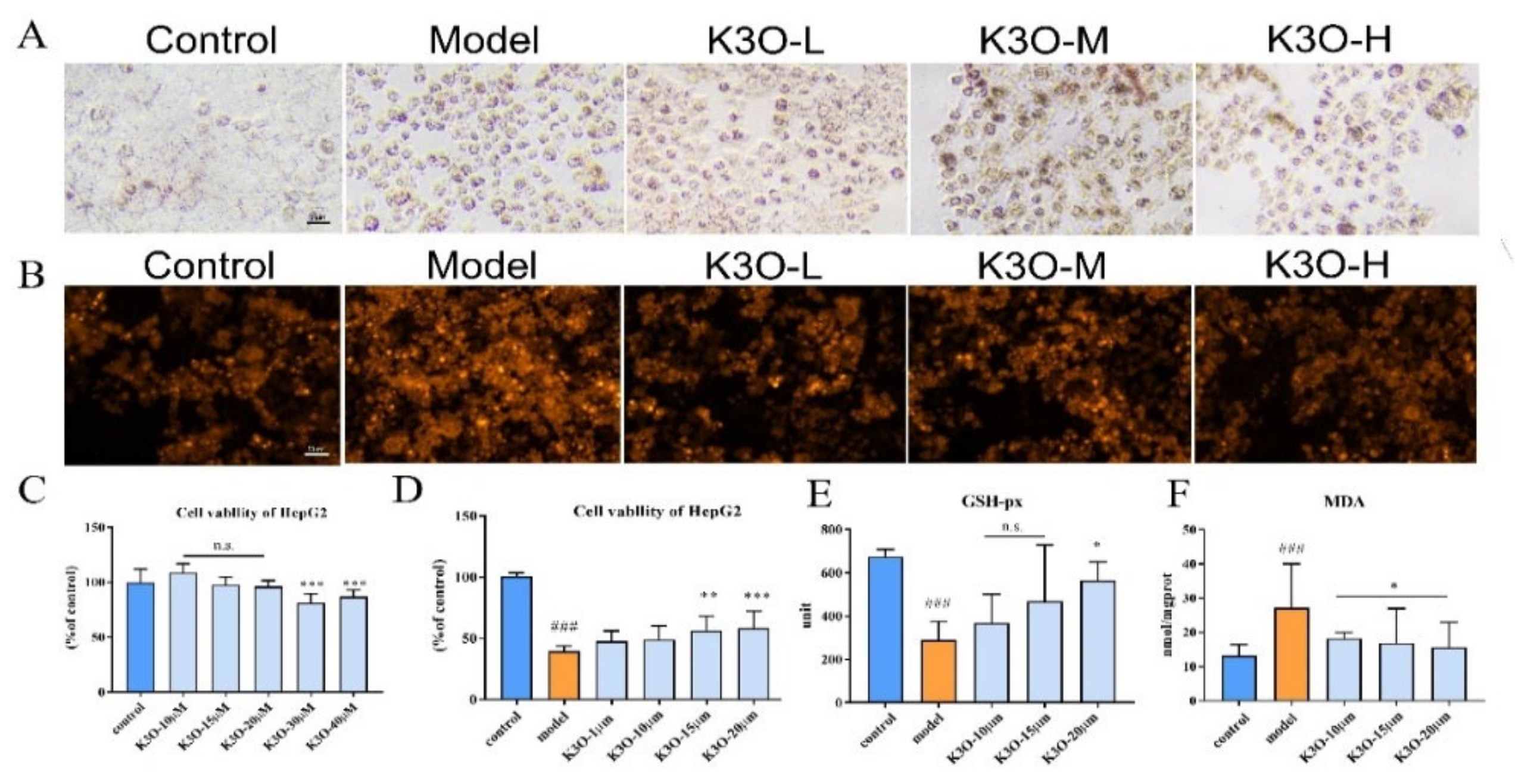 Life 11 00445 g004 Life 11 00445 g004