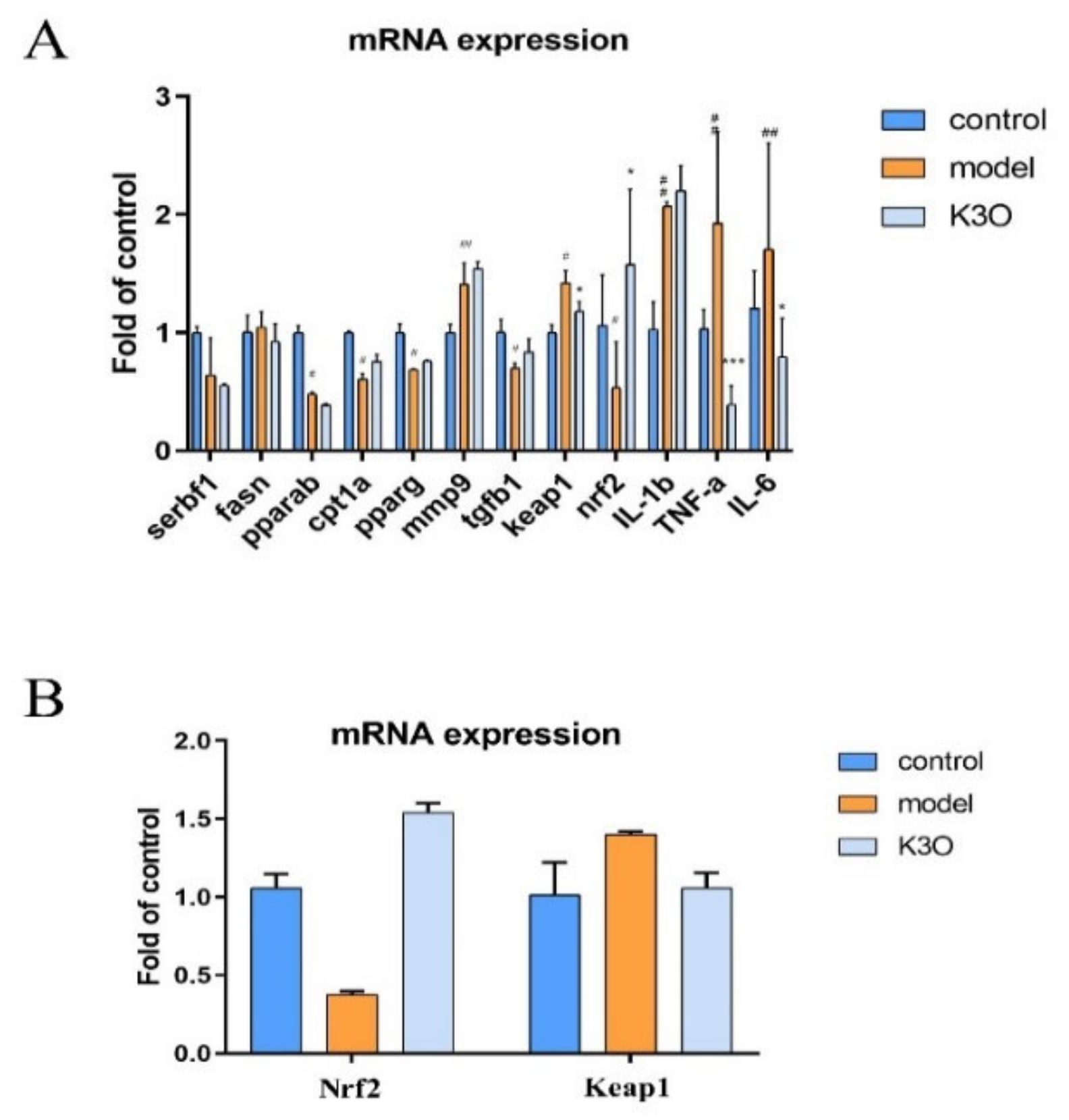 Life 11 00445 g005 Life 11 00445 g005