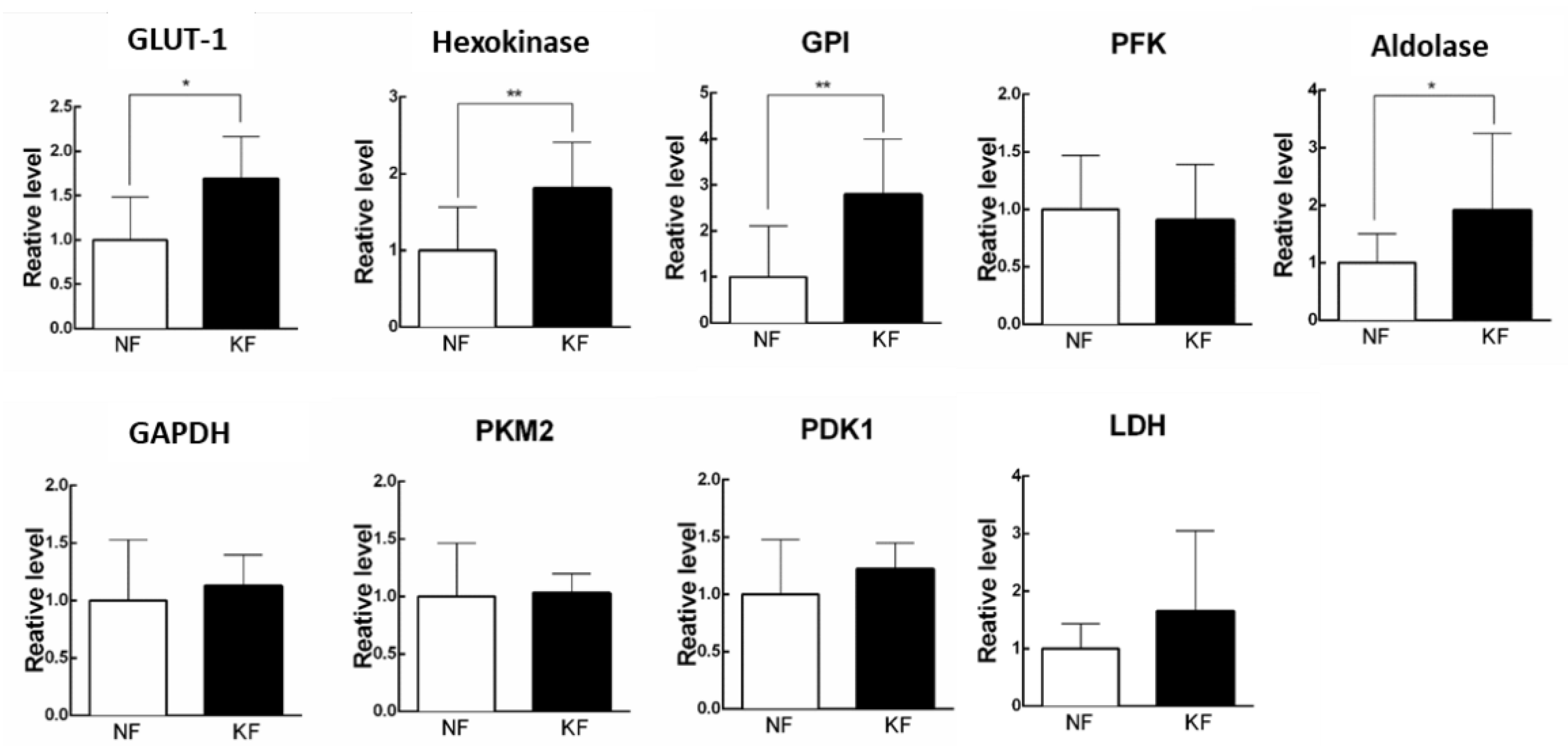 Life 11 00505 g002 Life 11 00505 g002