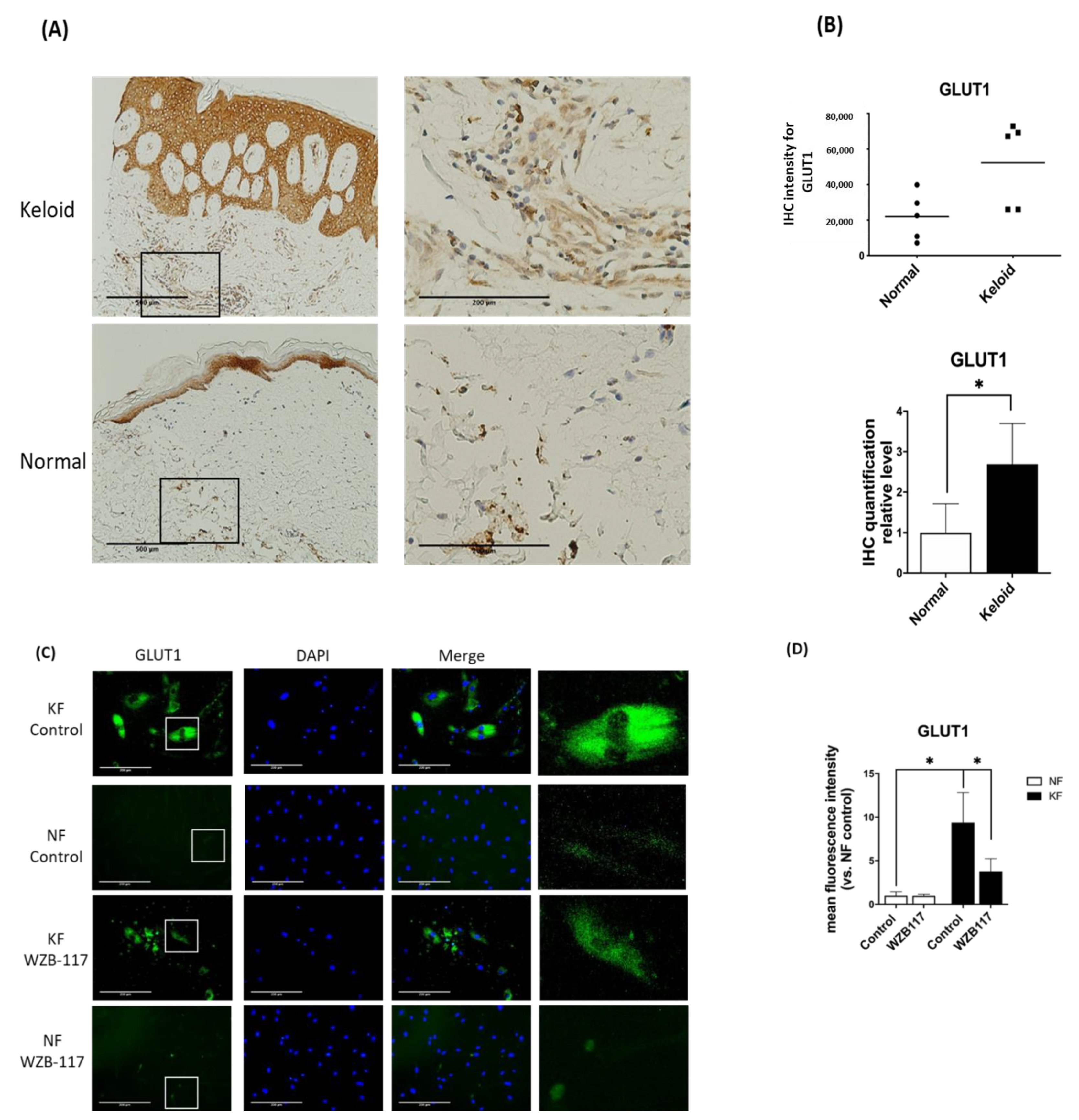 Life 11 00505 g003 Life 11 00505 g003