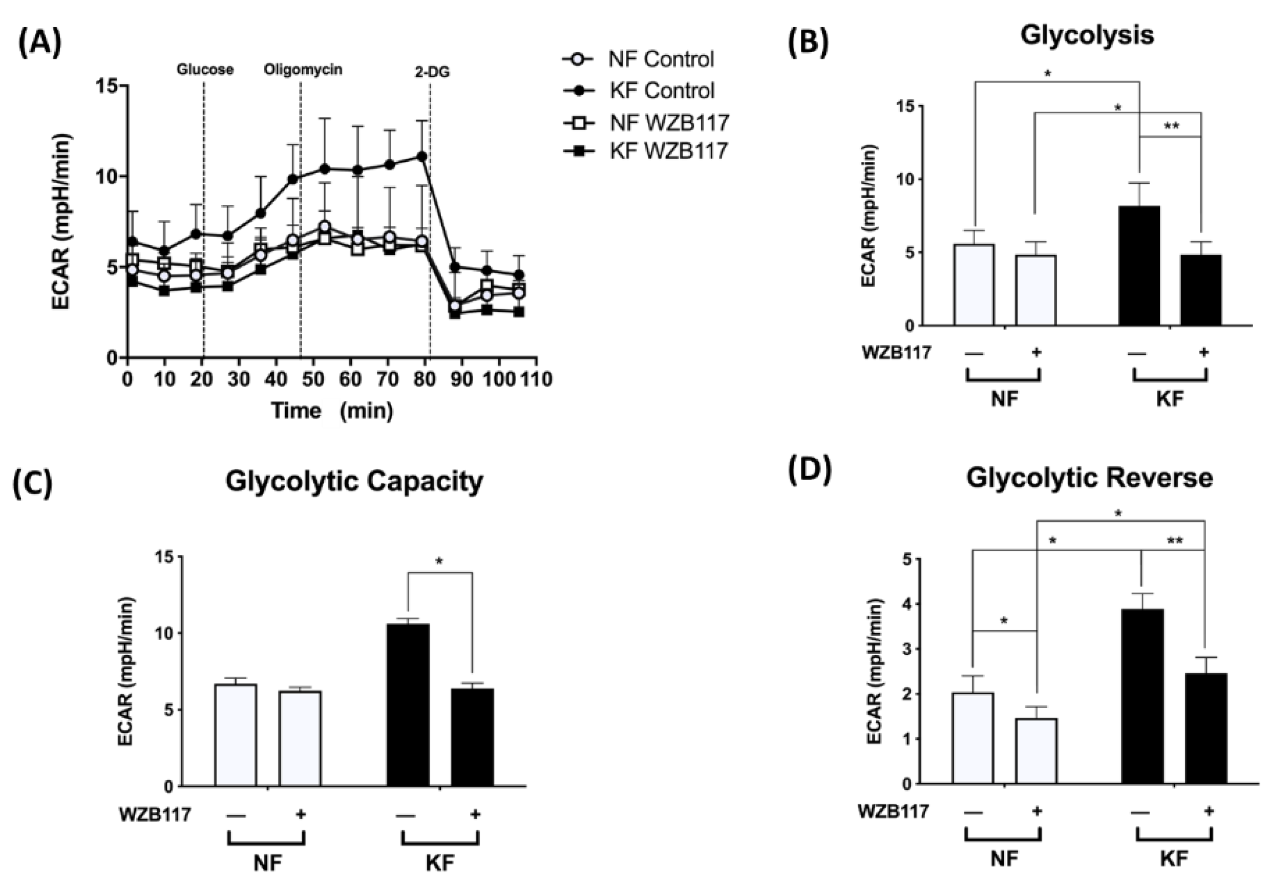 Life 11 00505 g004 Life 11 00505 g004