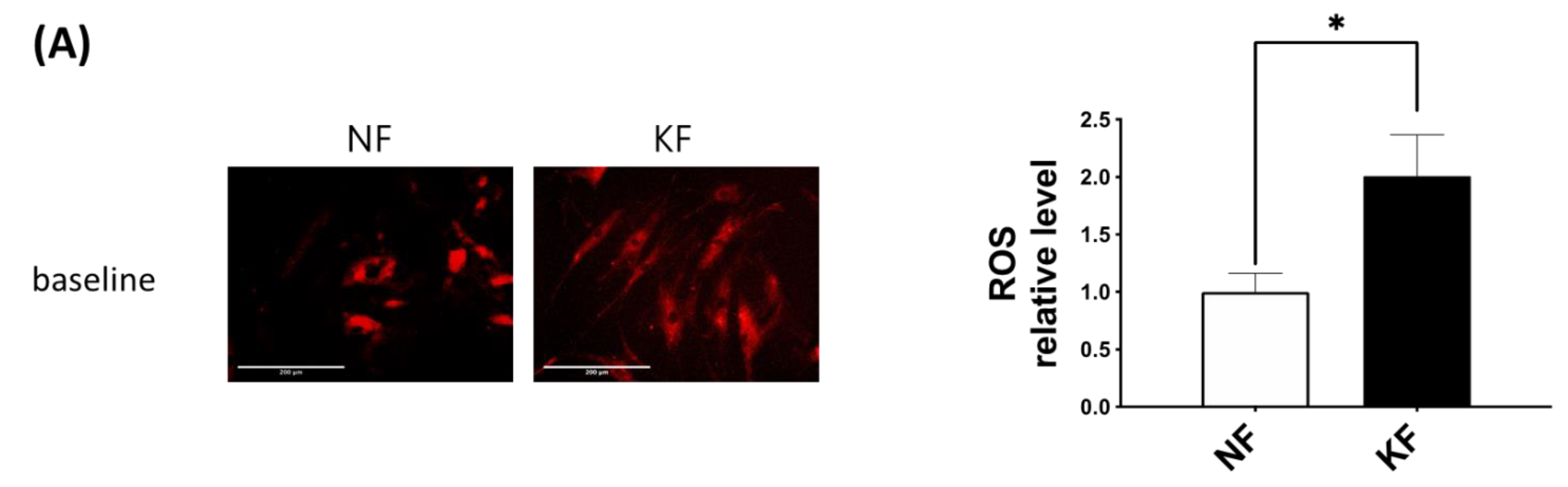 Life 11 00505 g006a Life 11 00505 g006a