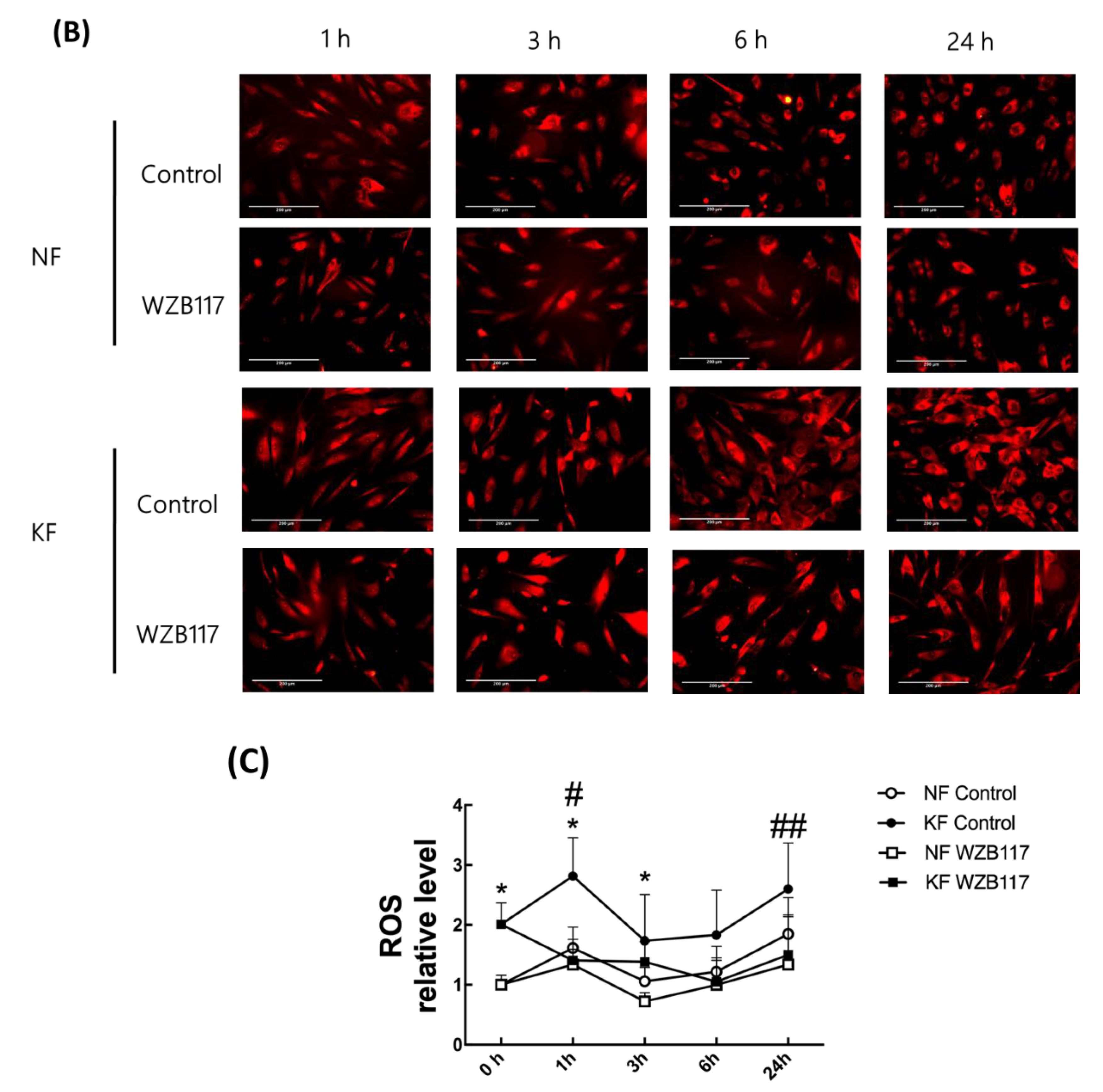 Life 11 00505 g006b Life 11 00505 g006b