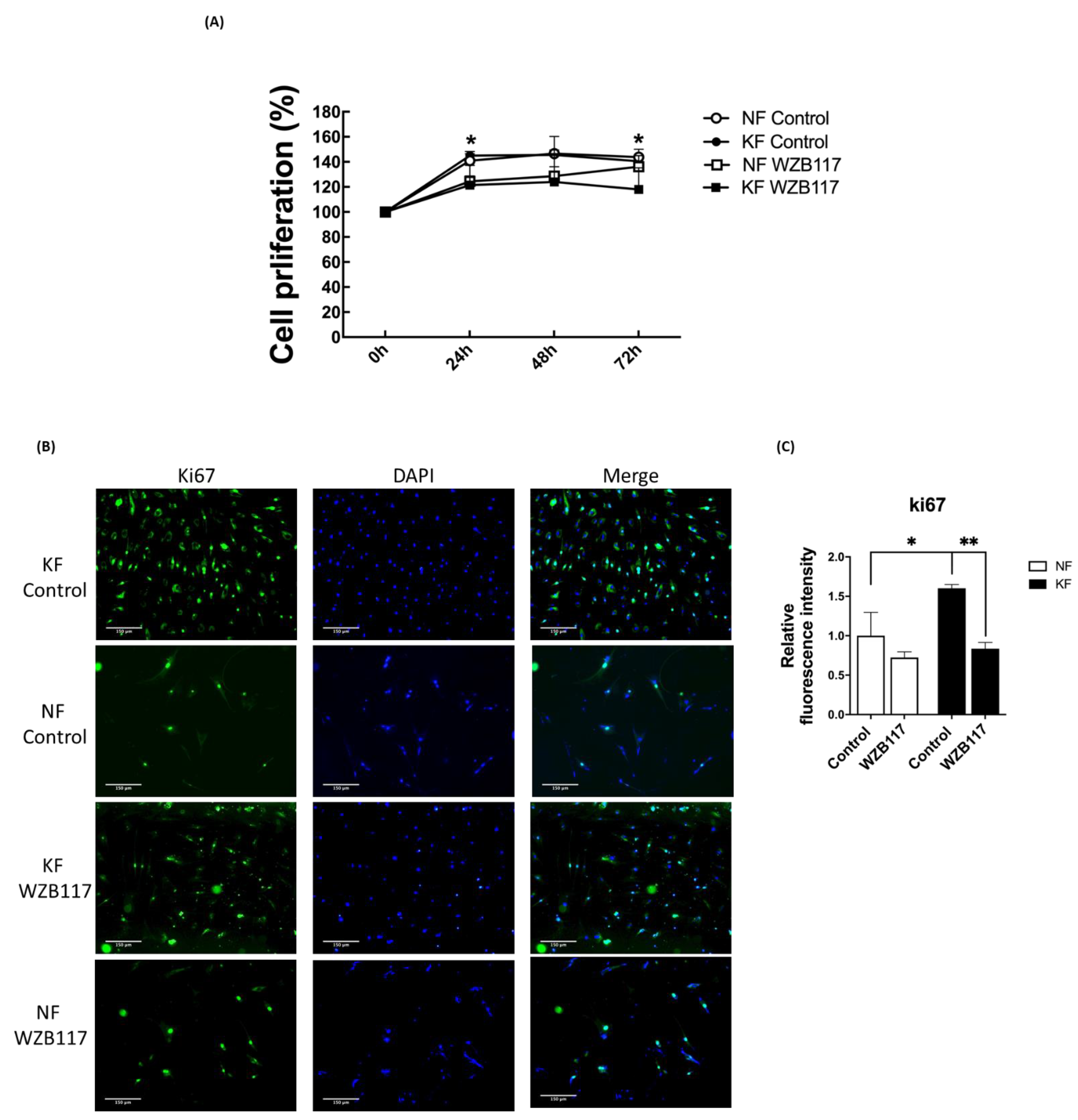 Life 11 00505 g007 Life 11 00505 g007
