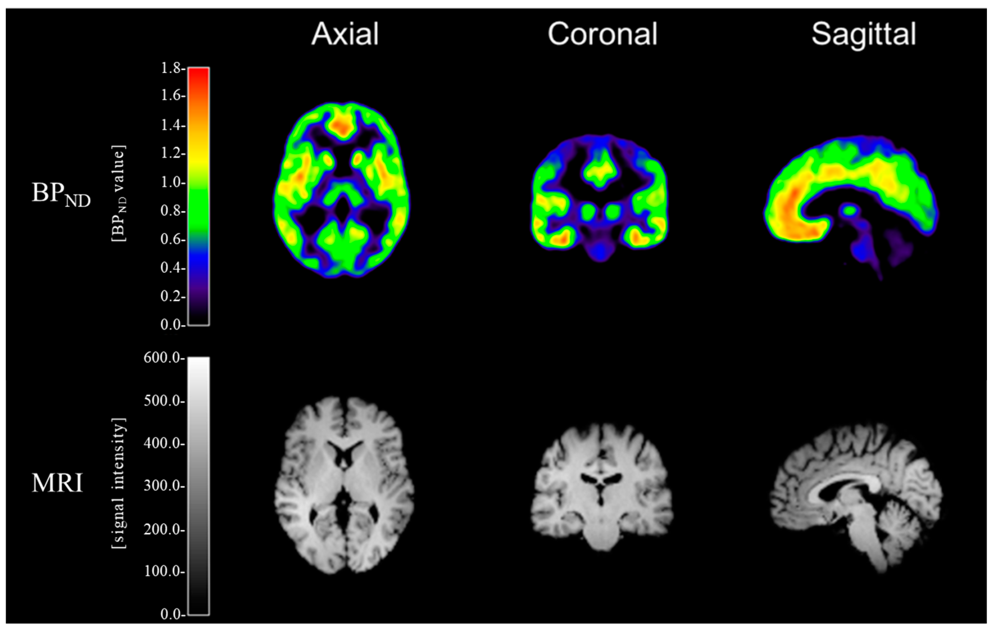 Life 11 00506 g001 Life 11 00506 g001