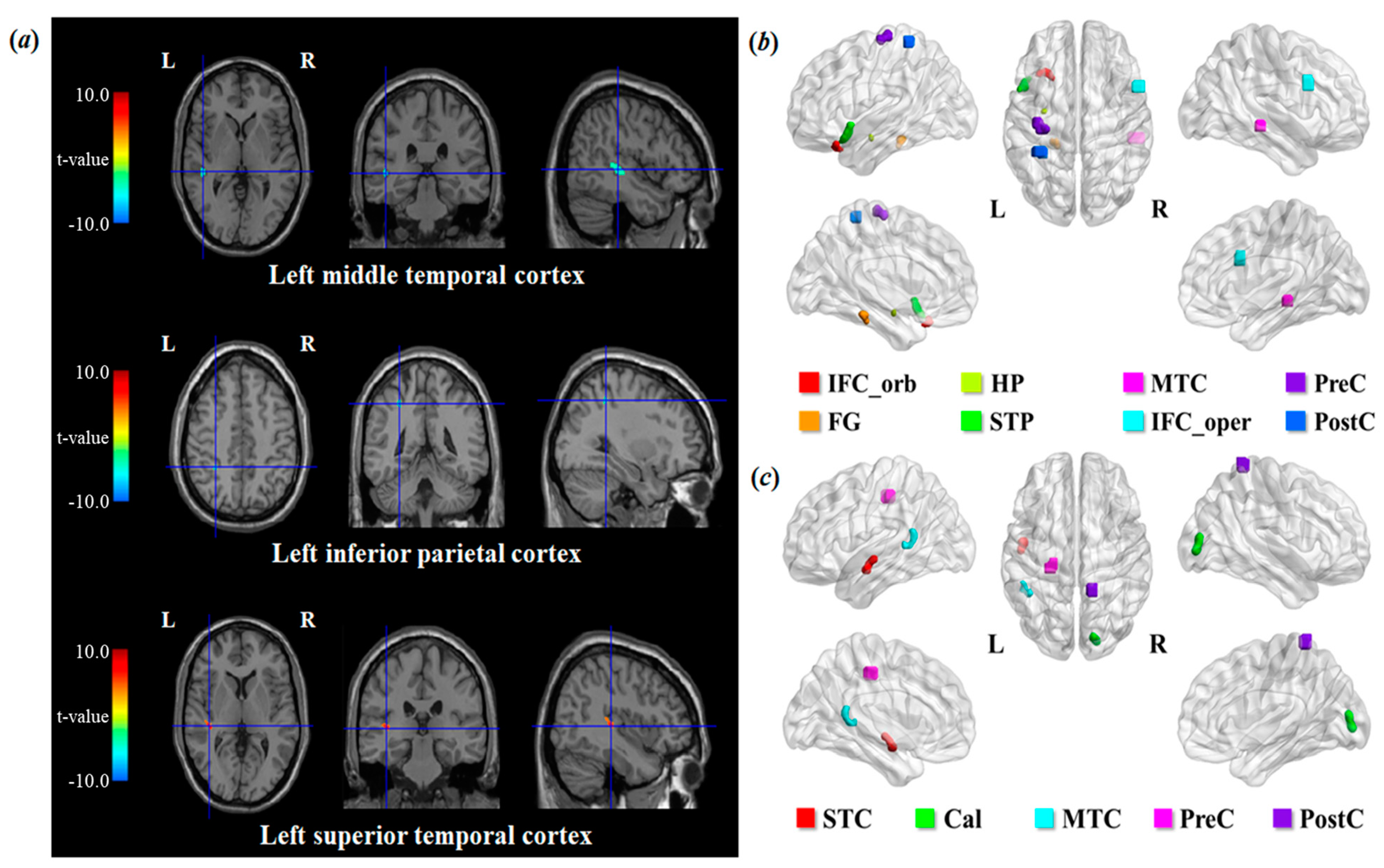 Life 11 00506 g002 Life 11 00506 g002