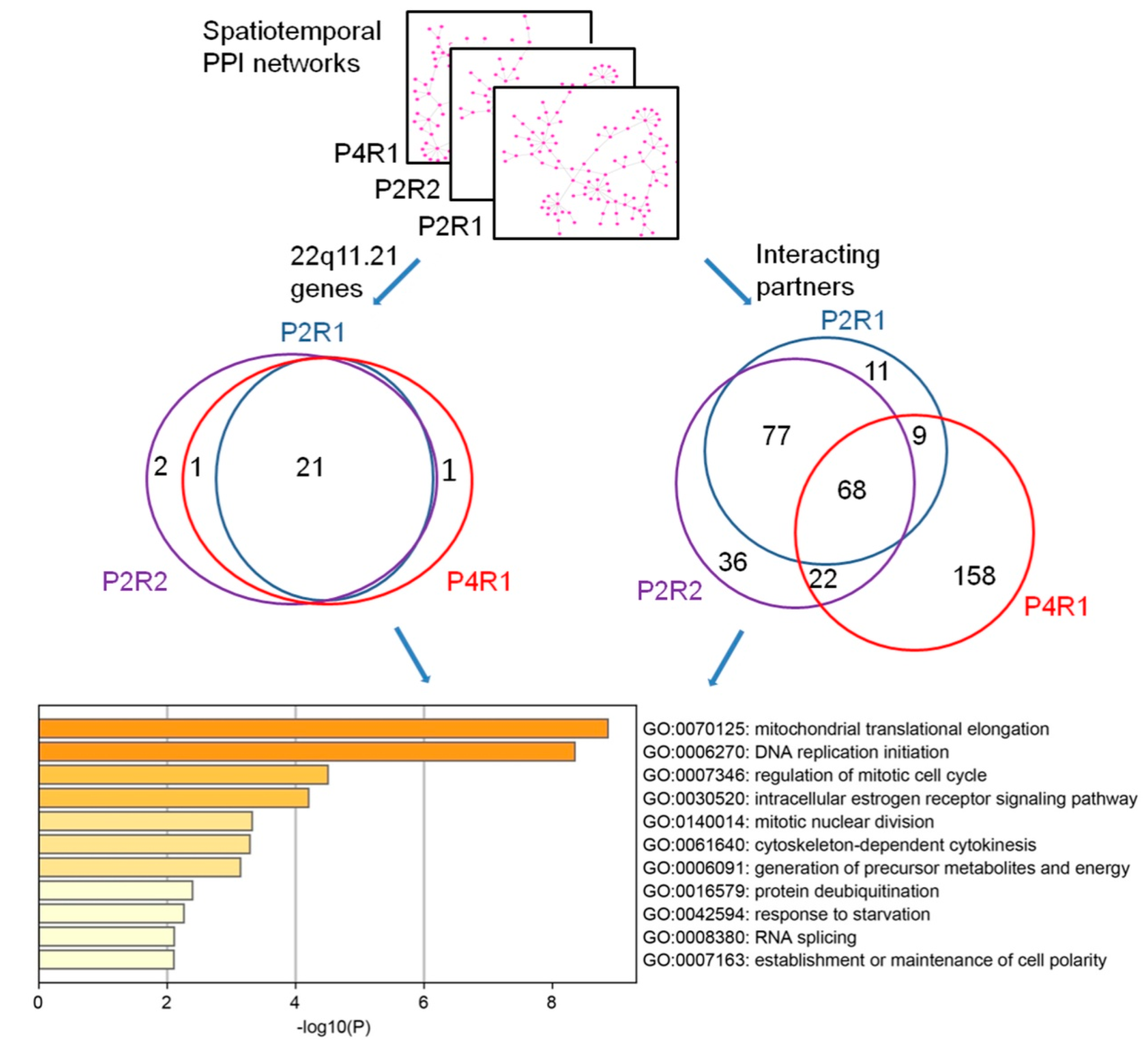 Life 11 00514 g003 Life 11 00514 g003