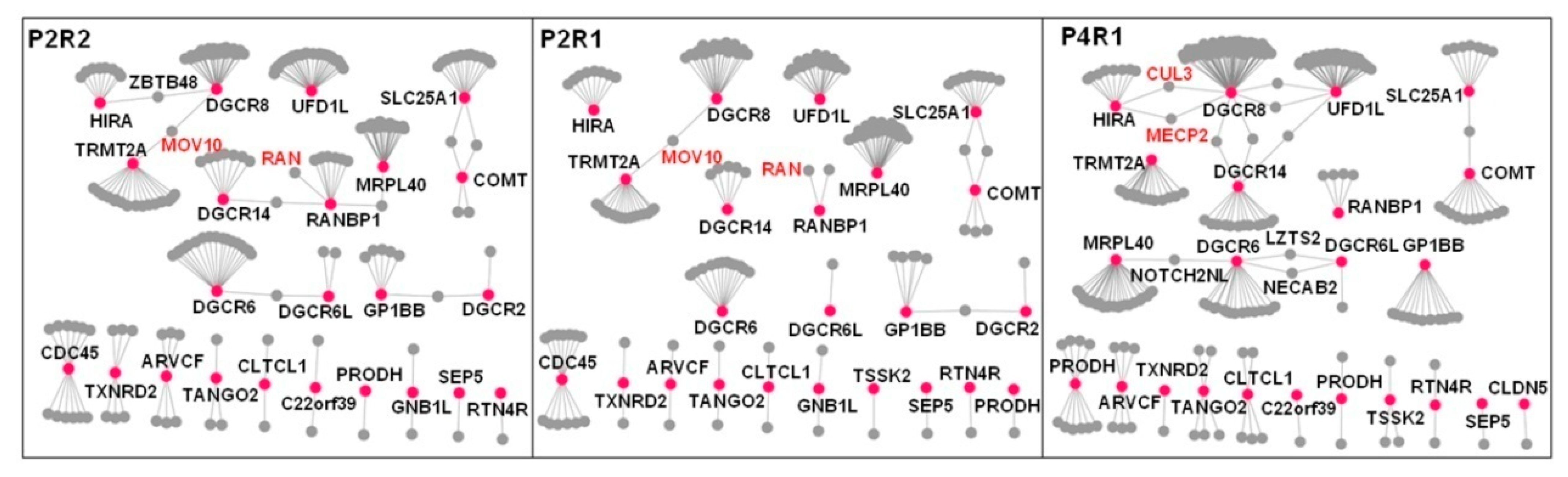 Life 11 00514 g004 Life 11 00514 g004