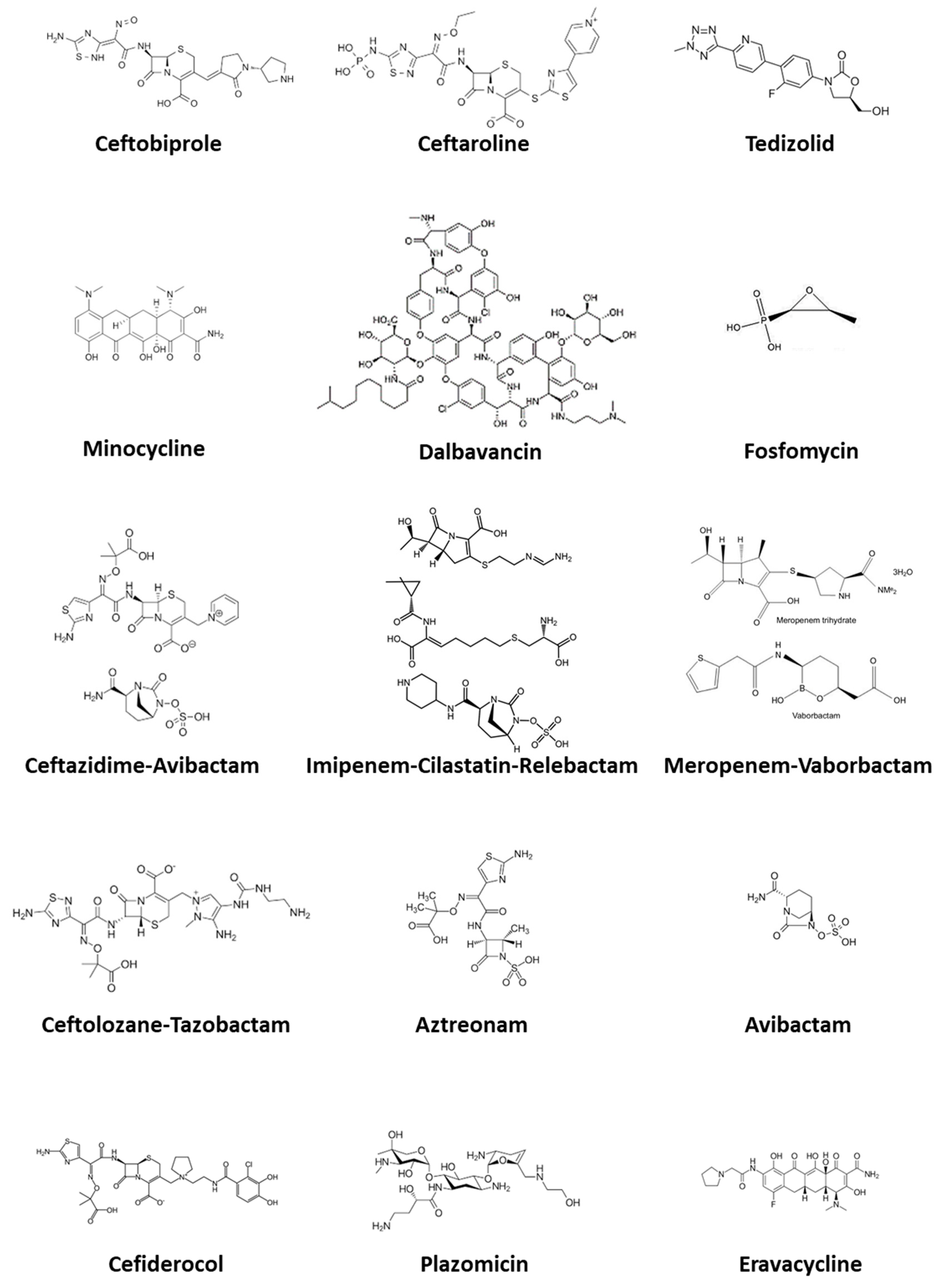 Life 11 00519 g001 Life 11 00519 g001