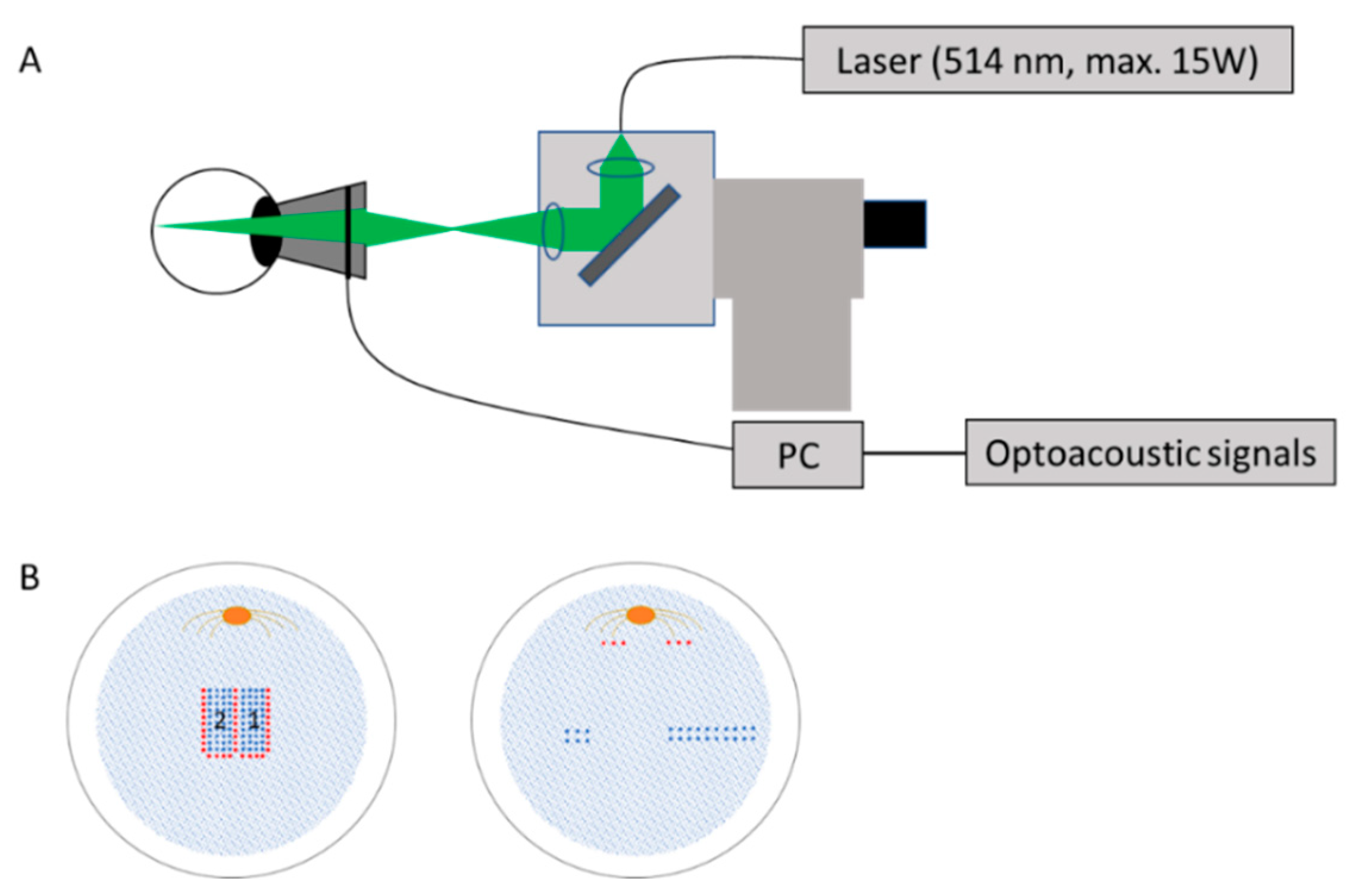 Life 11 00555 g001 Life 11 00555 g001