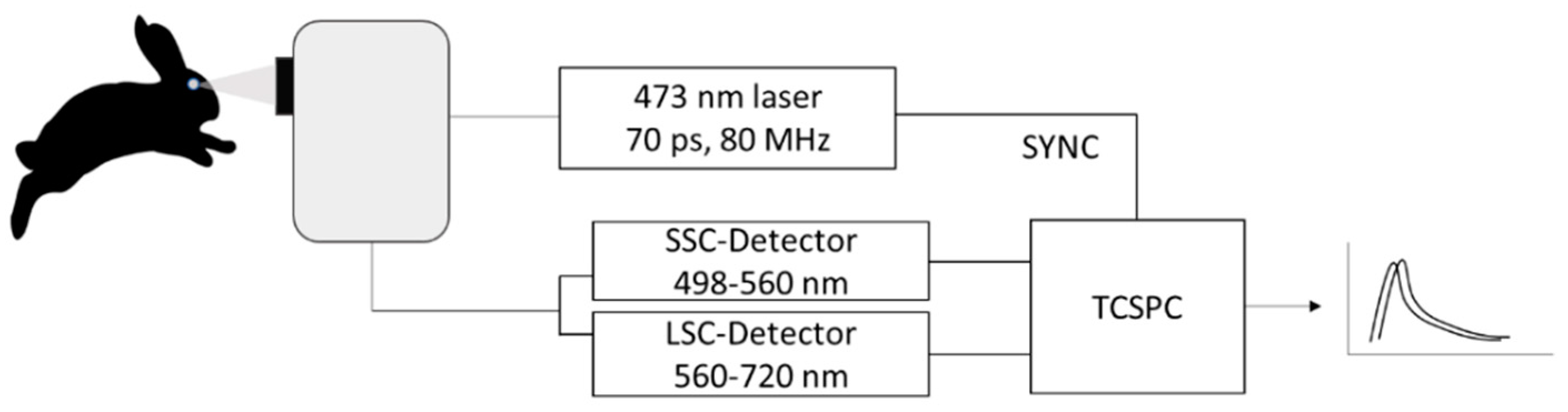 Life 11 00555 g002 Life 11 00555 g002