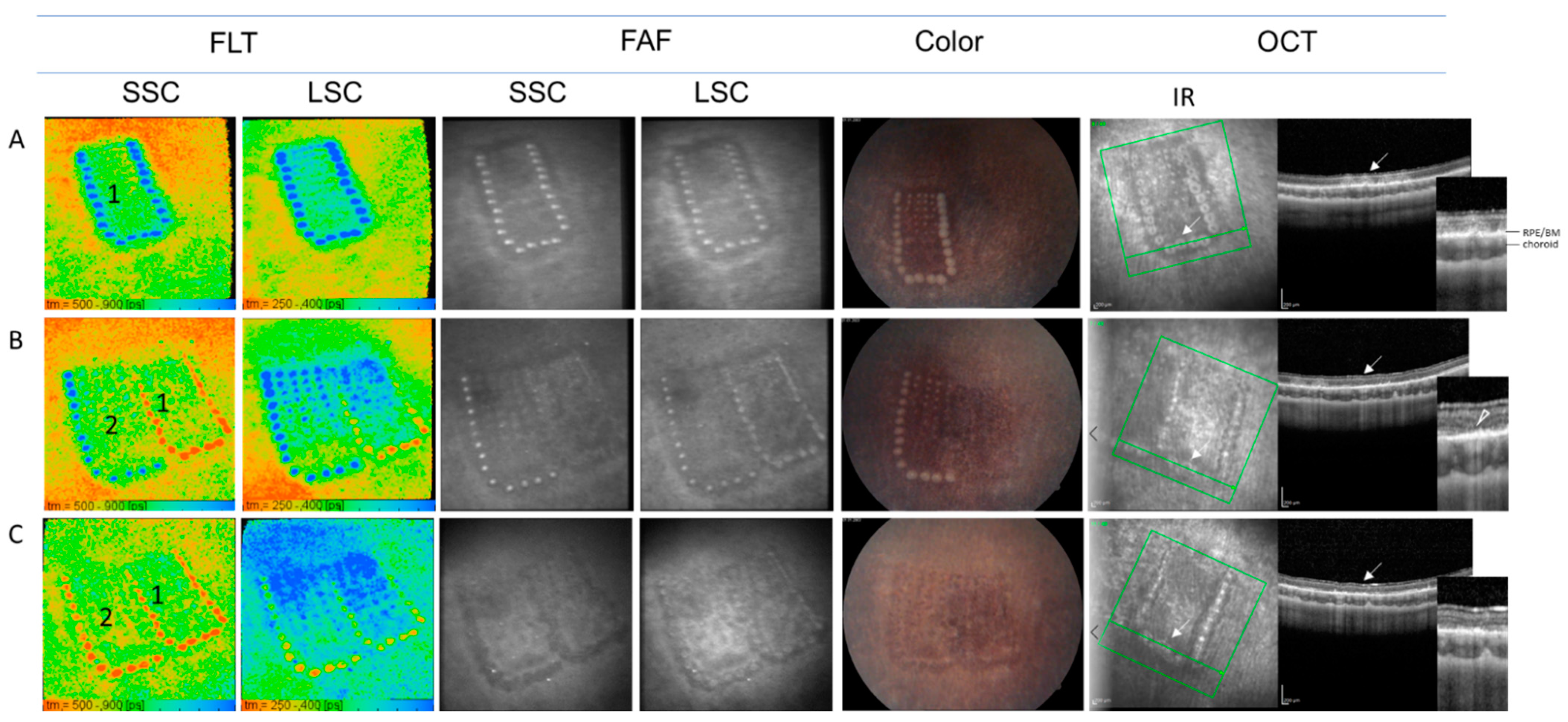 Life 11 00555 g004 Life 11 00555 g004