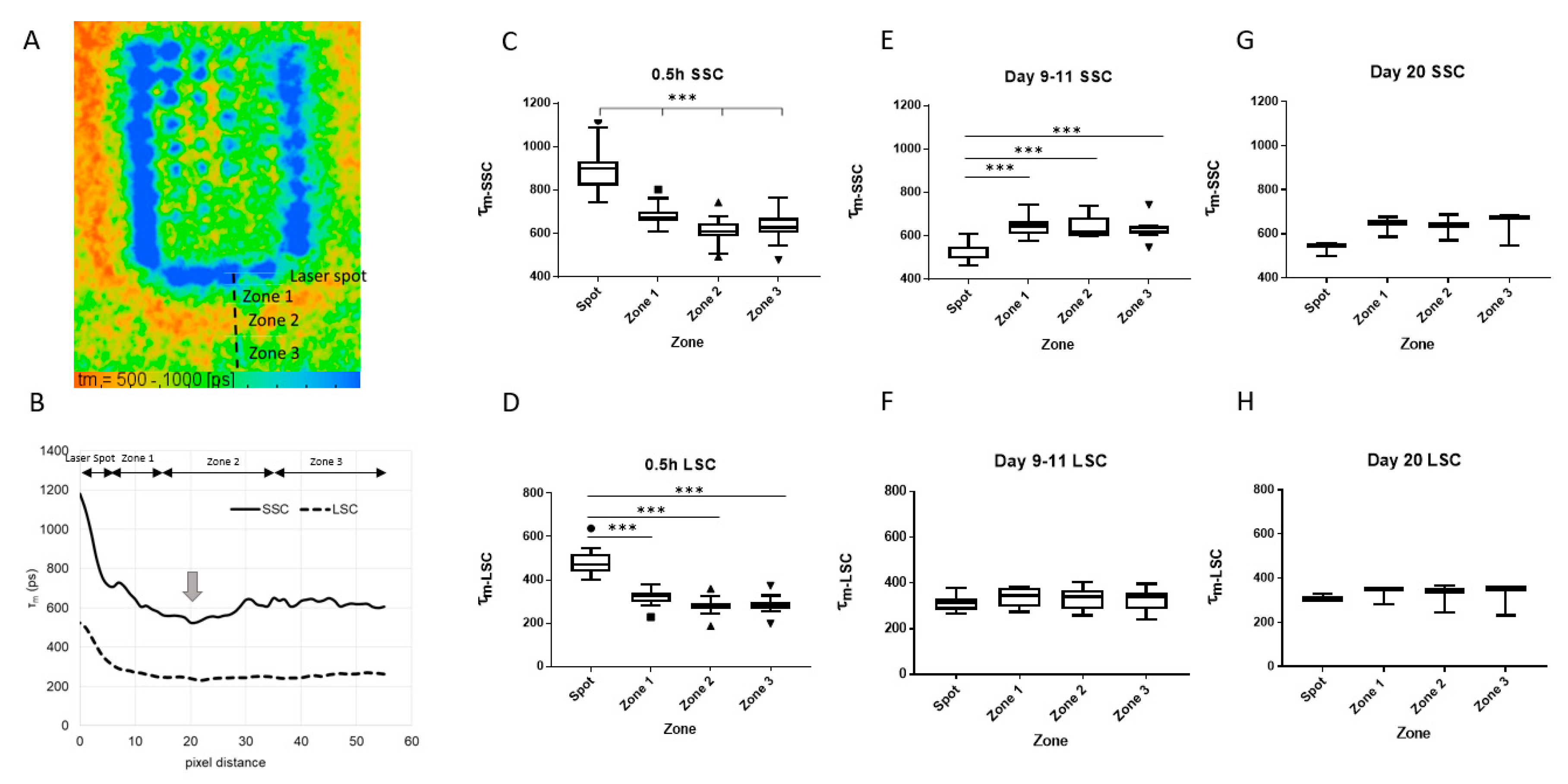 Life 11 00555 g005 Life 11 00555 g005