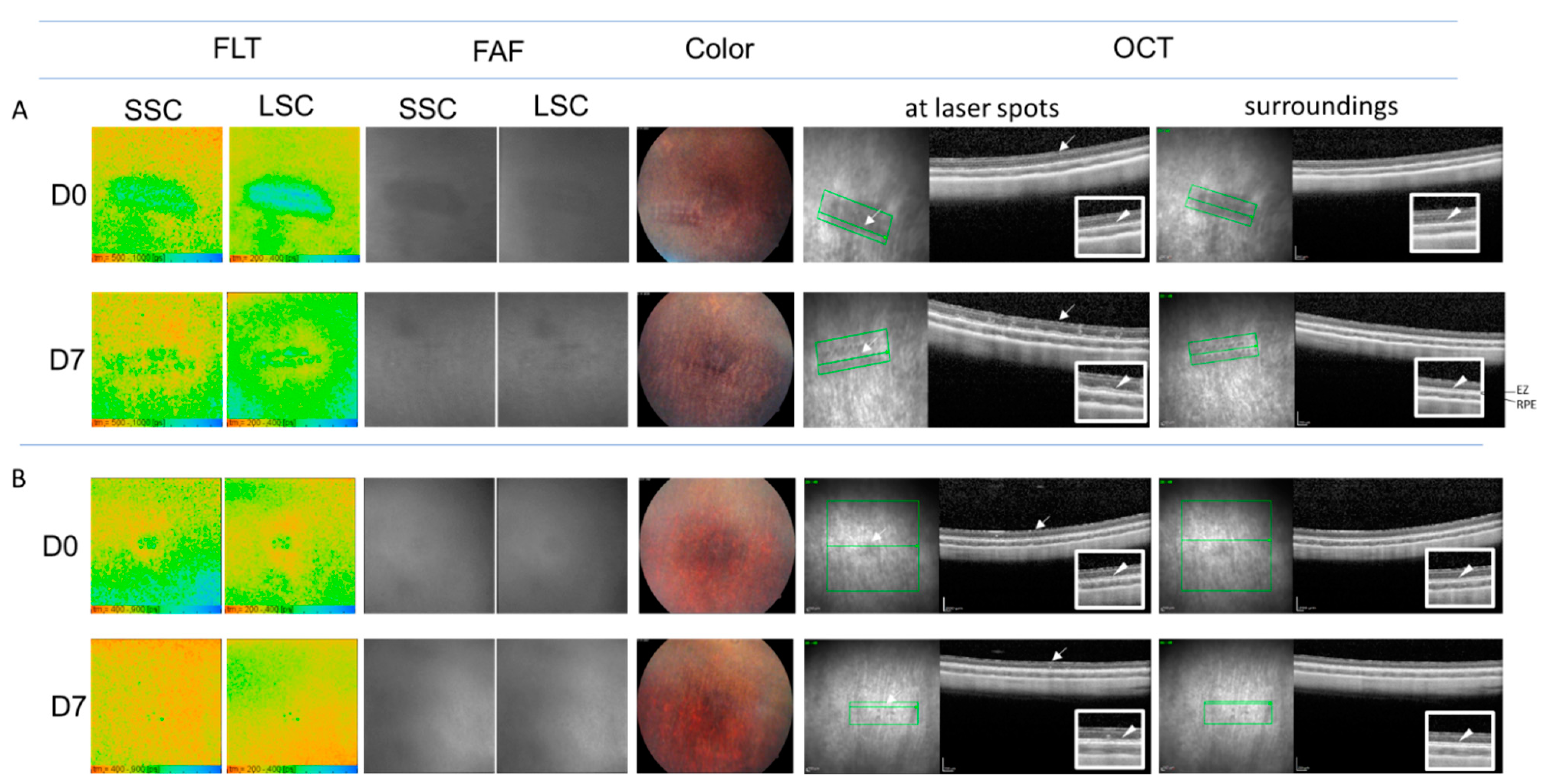 Life 11 00555 g007 Life 11 00555 g007