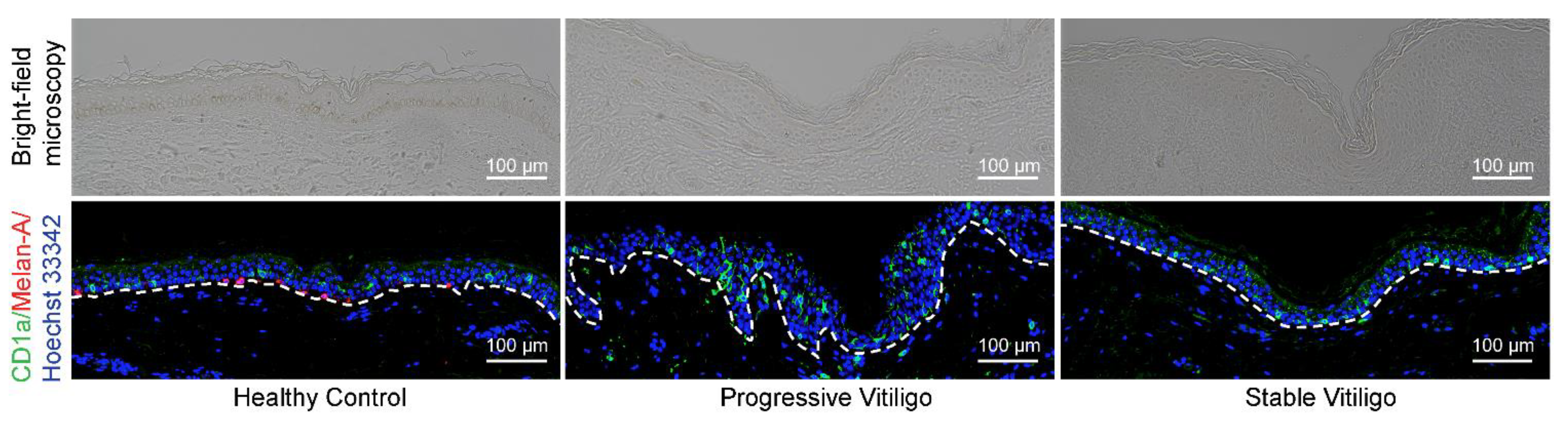 Life 11 00579 g001 Life 11 00579 g001