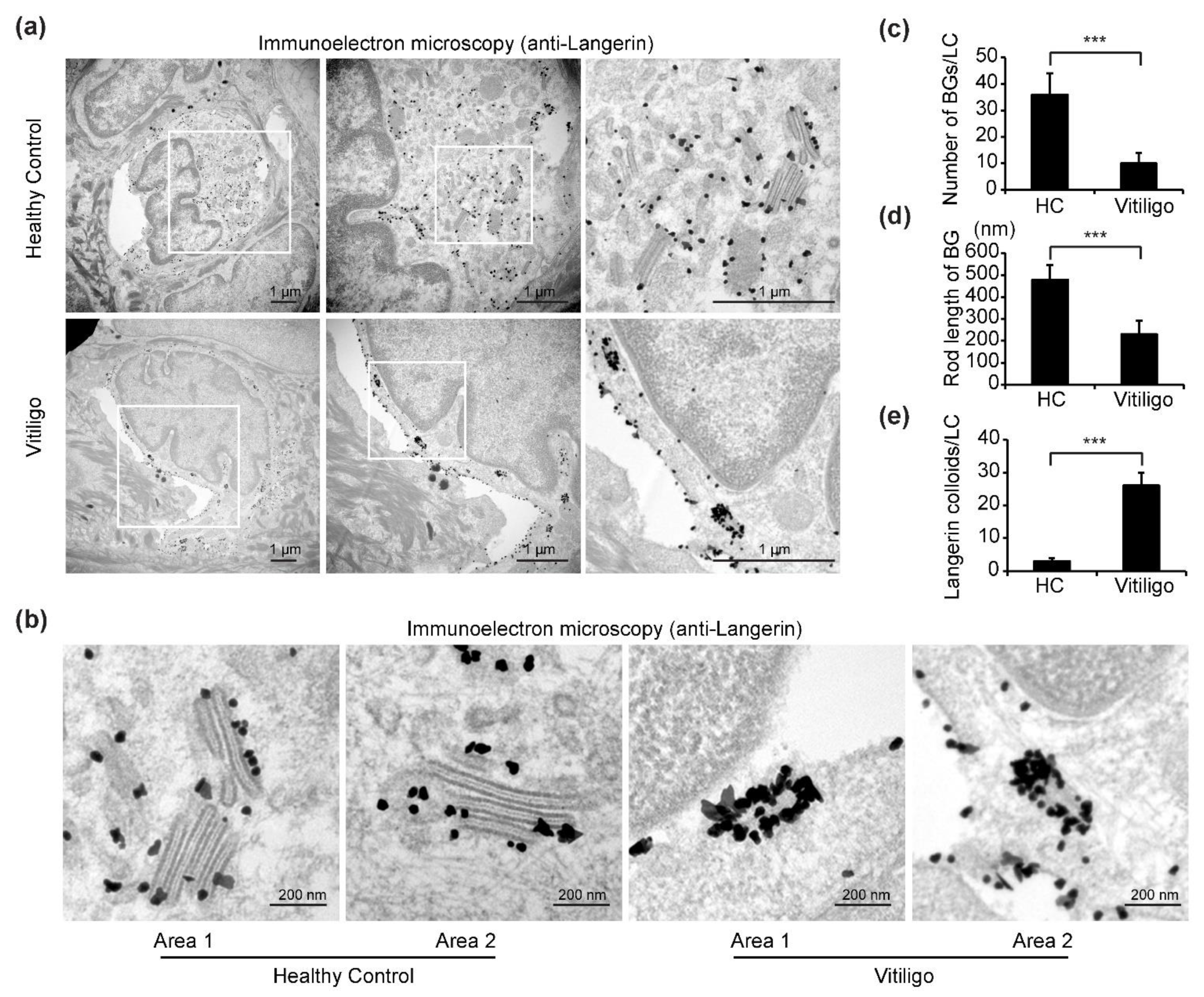 Life 11 00579 g003 Life 11 00579 g003