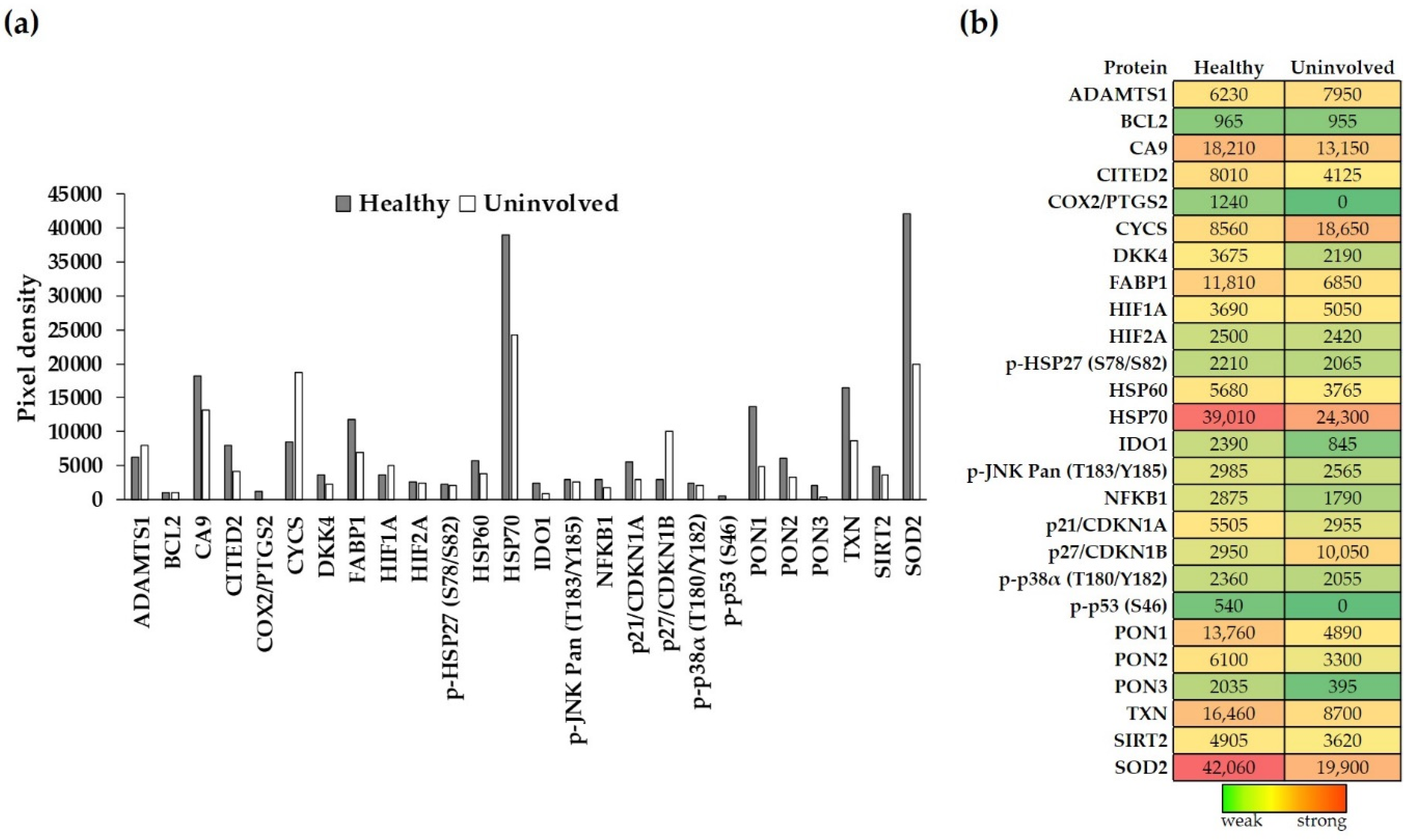 Life 11 00599 g001 Life 11 00599 g001
