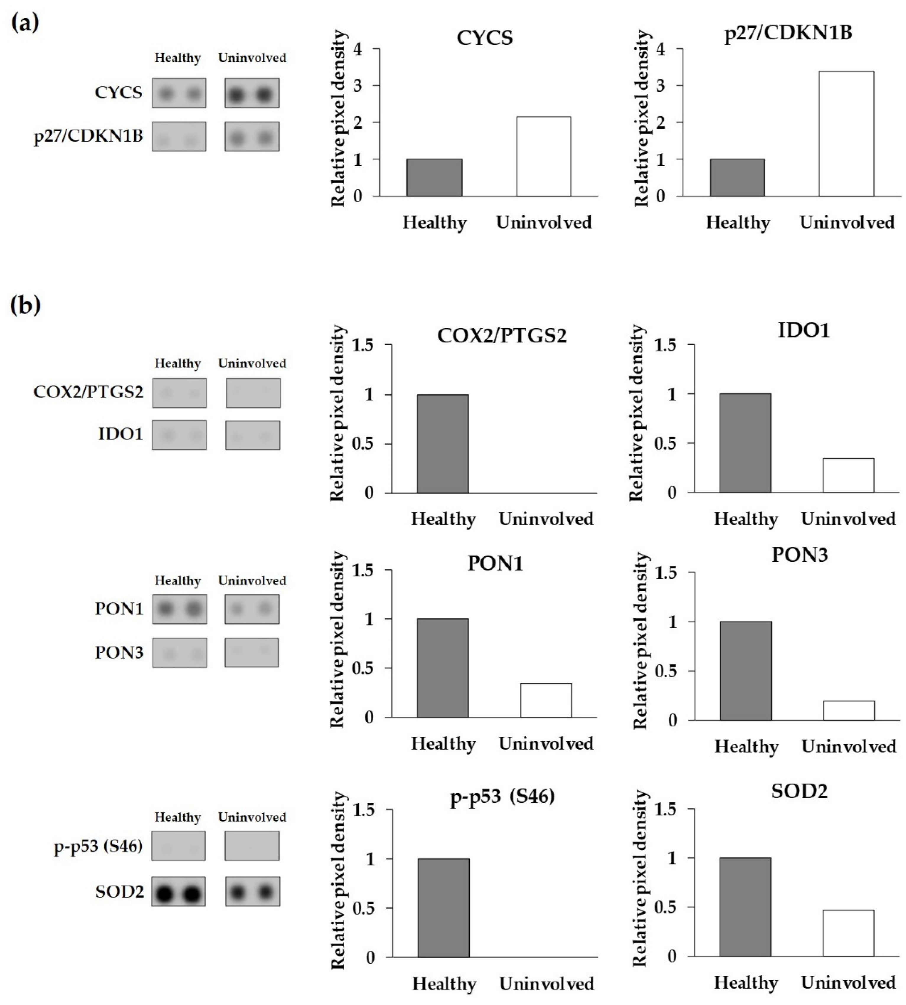 Life 11 00599 g002 Life 11 00599 g002