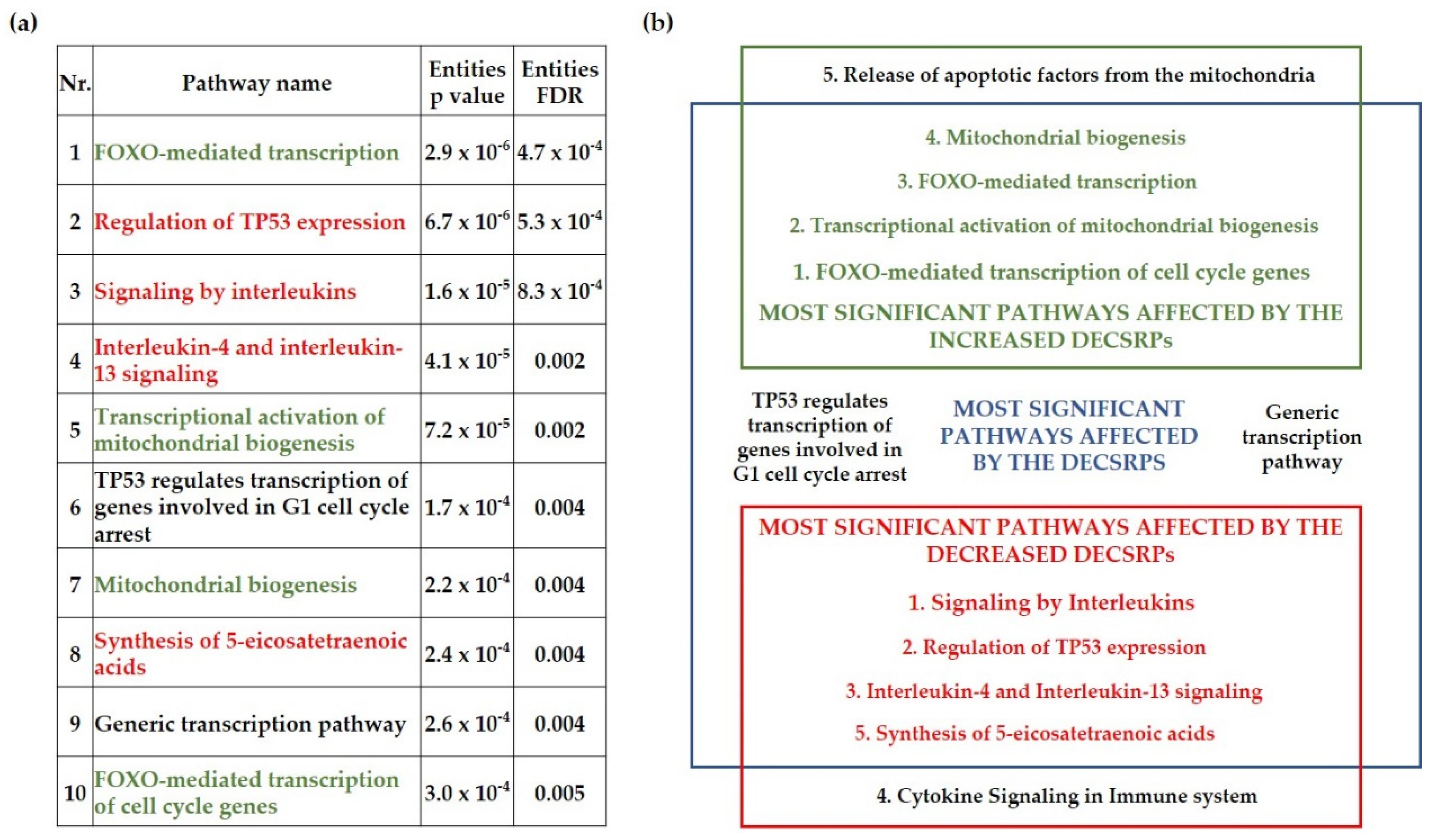 Life 11 00599 g003 Life 11 00599 g003