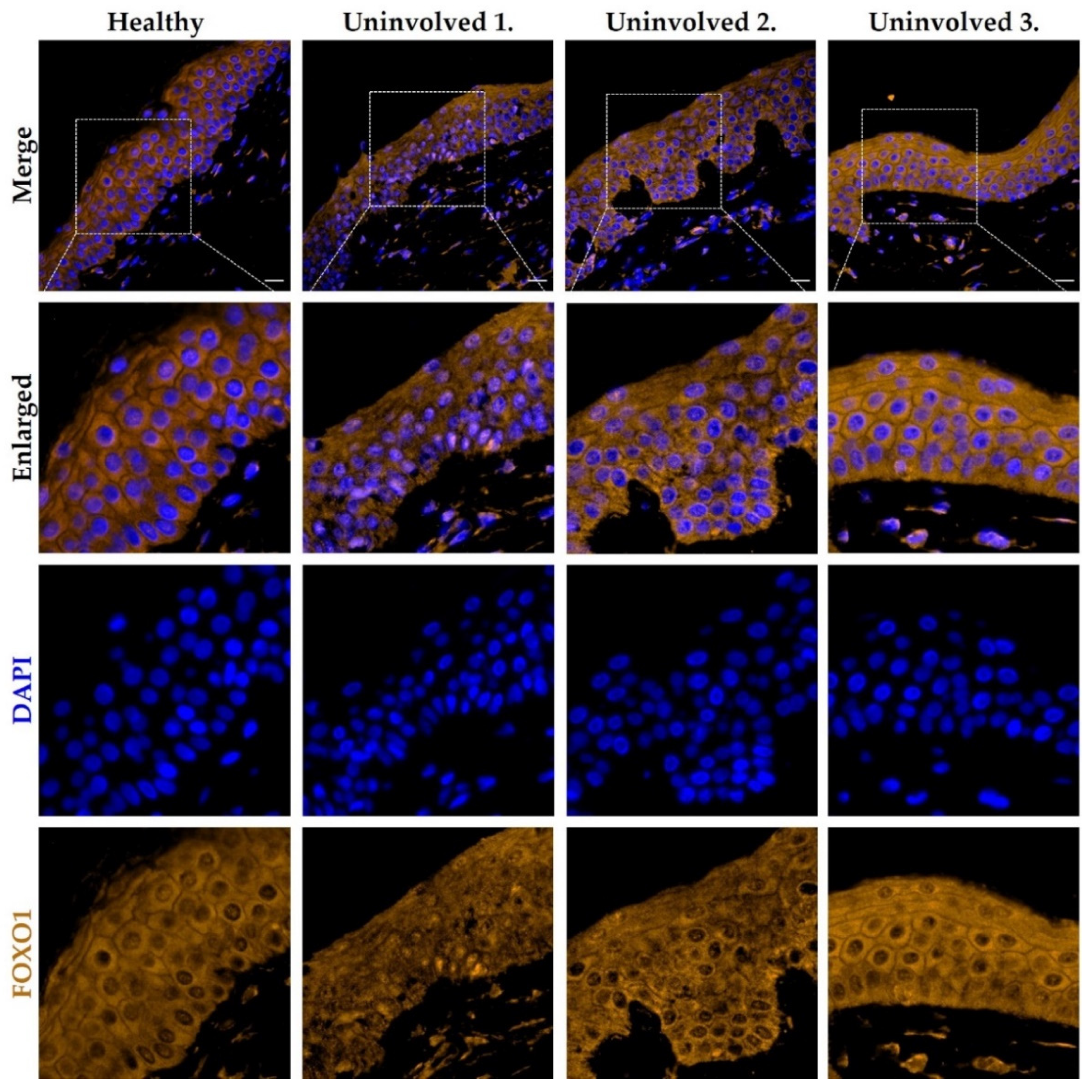 Life 11 00599 g005 Life 11 00599 g005