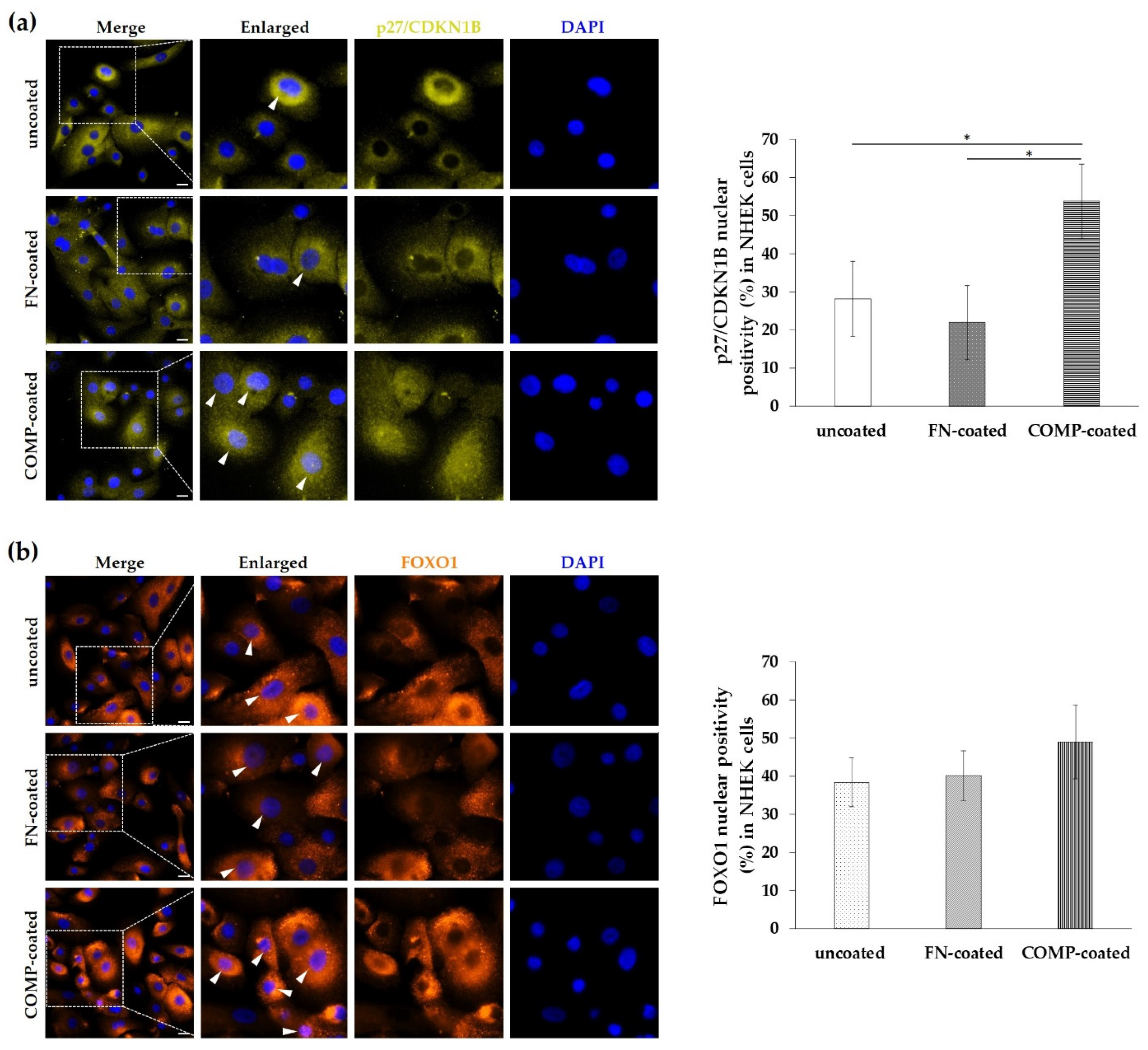 Life 11 00599 g006 Life 11 00599 g006