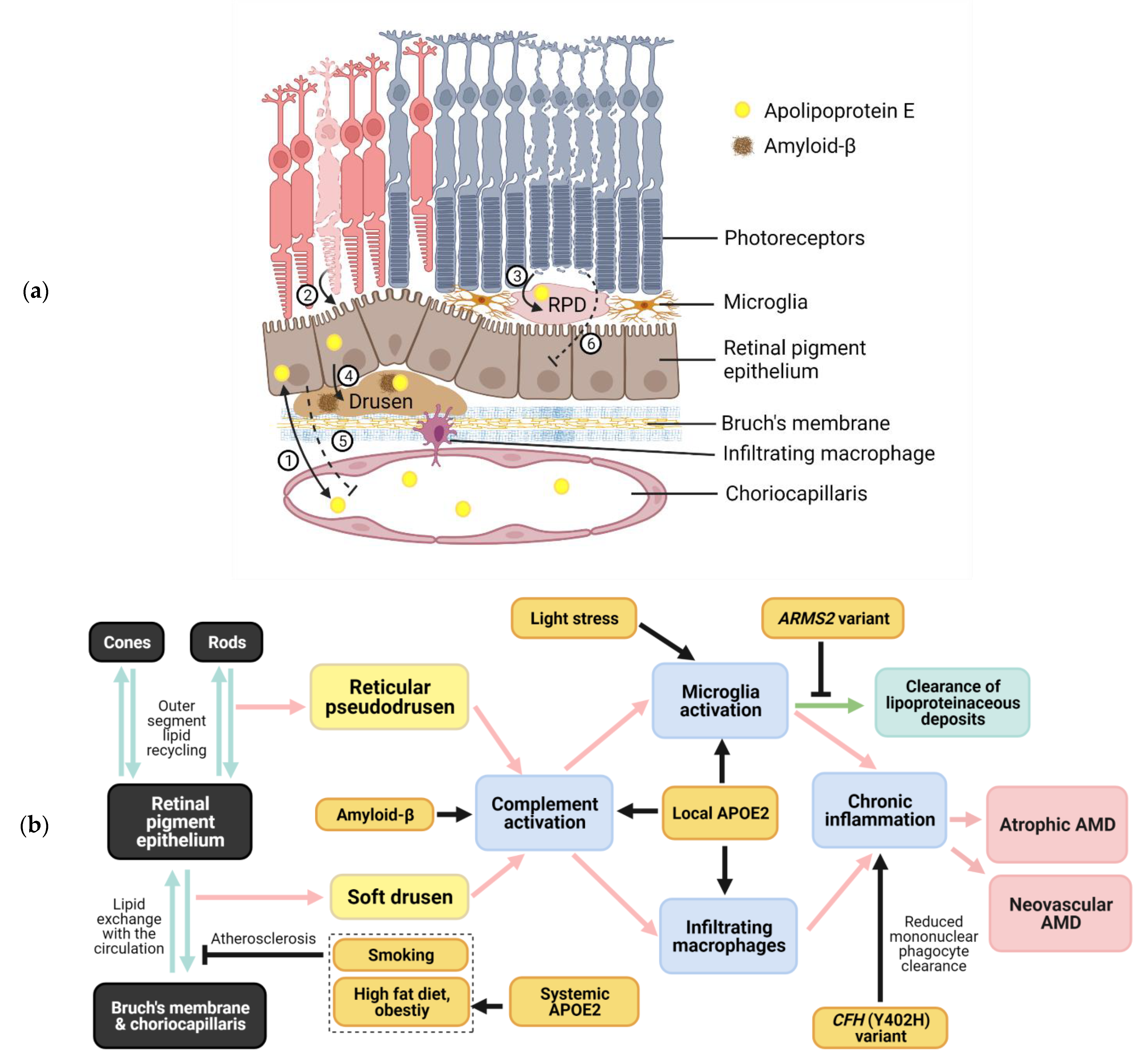 Life 11 00635 g001 Life 11 00635 g001
