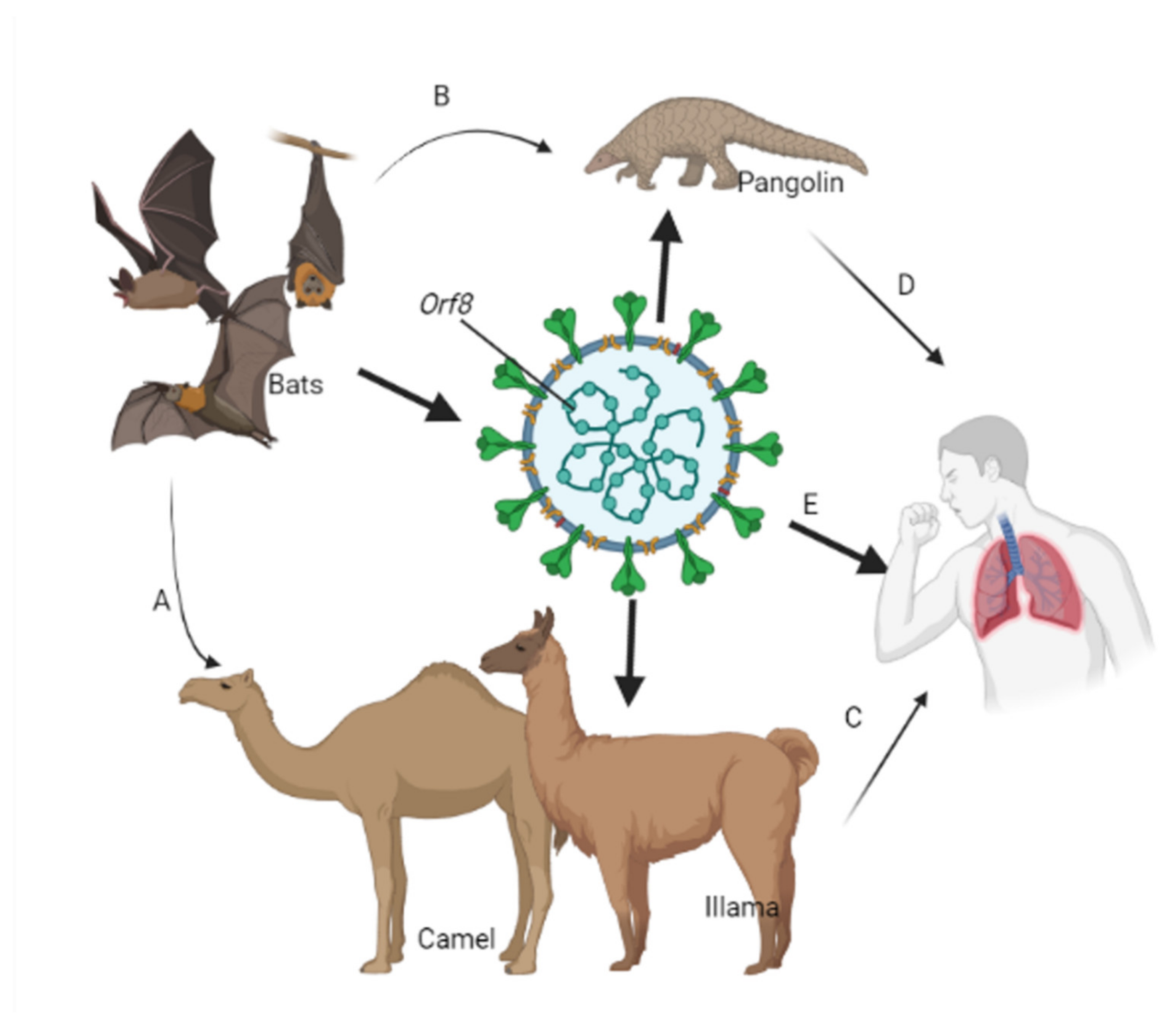 Life 11 00734 g001 Life 11 00734 g001