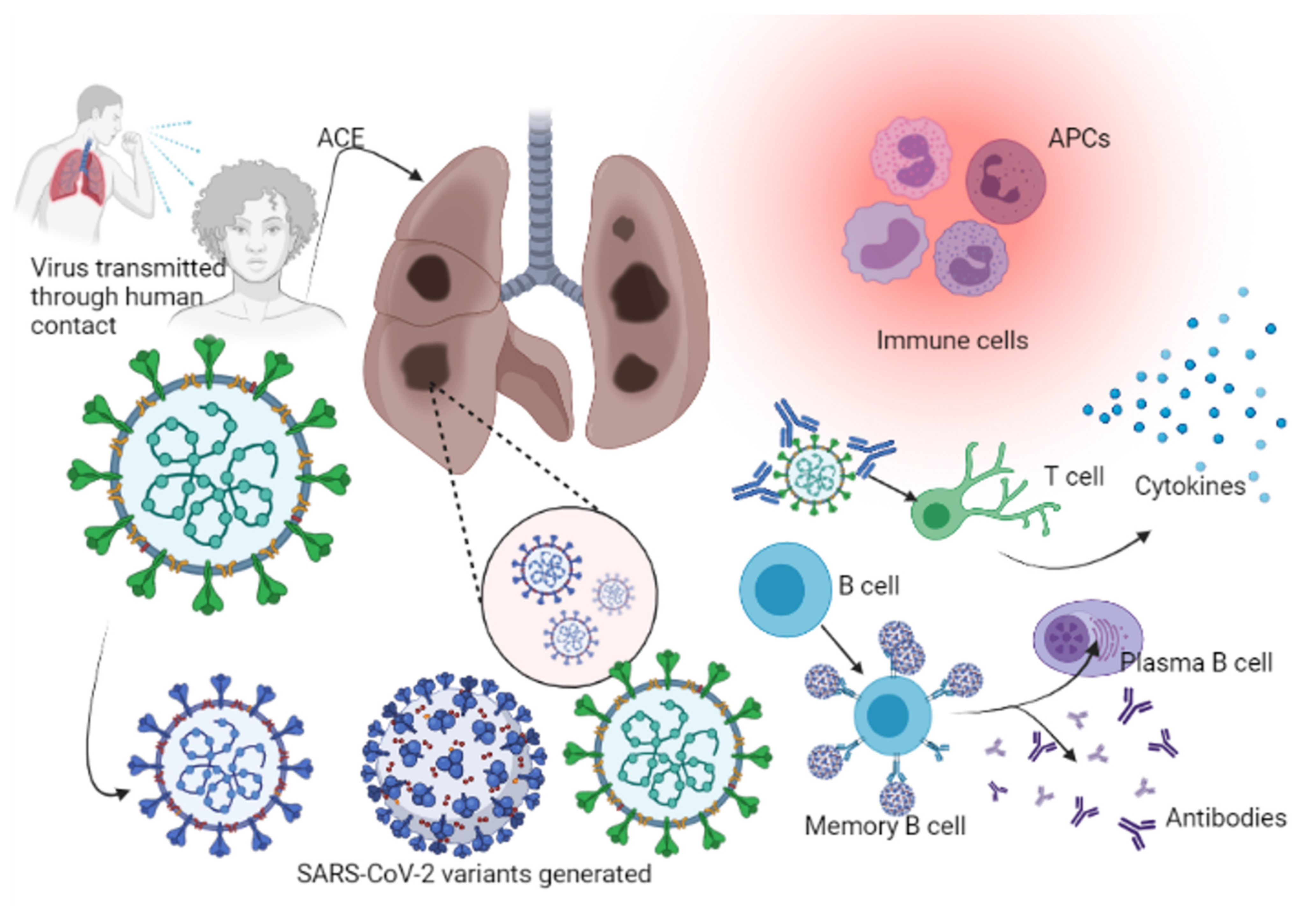 Life 11 00734 g002 Life 11 00734 g002
