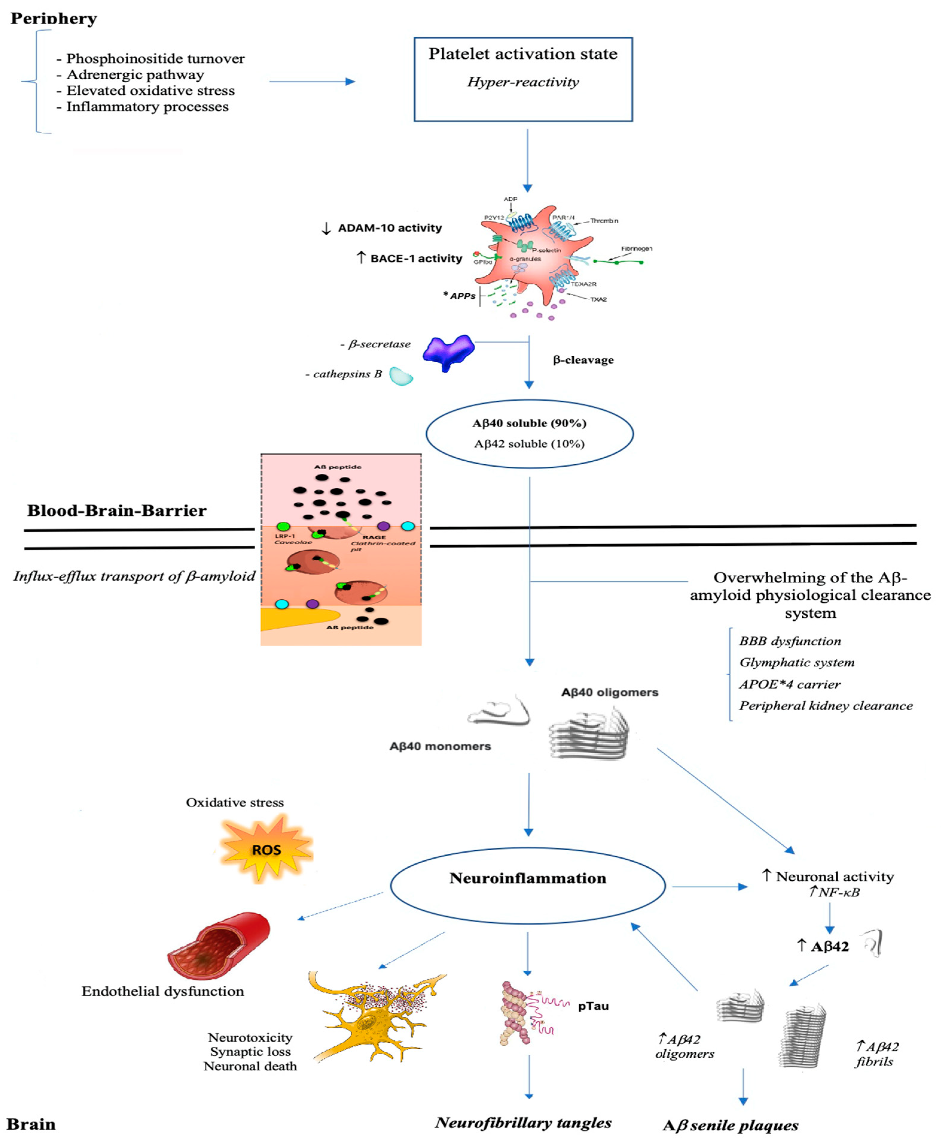 Life 11 00750 g002 Life 11 00750 g002