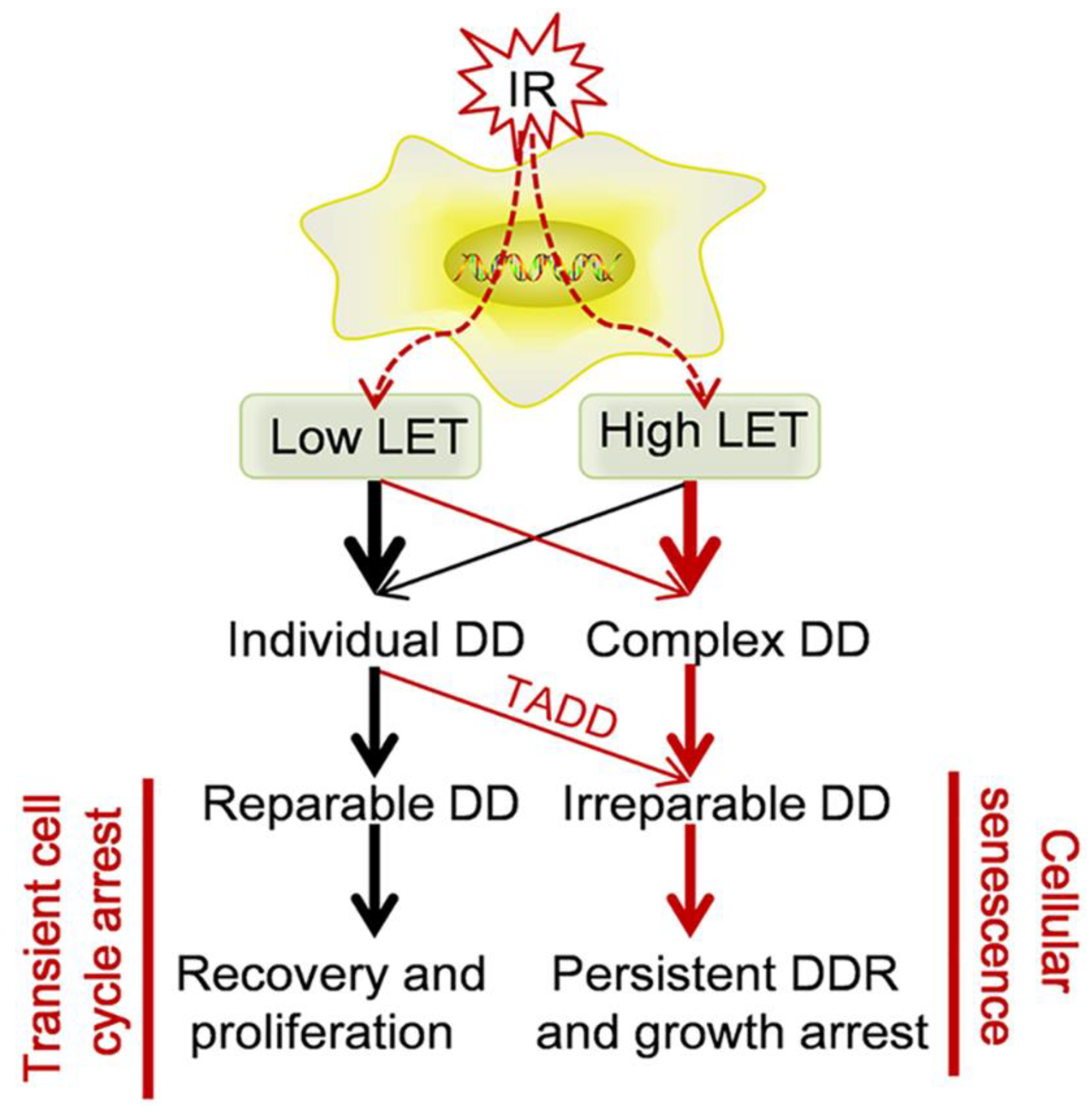 Life 11 00829 g007 Life 11 00829 g007
