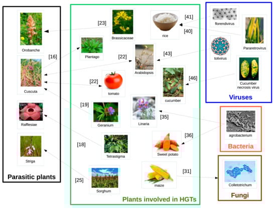 Life 11 00857 g002 550