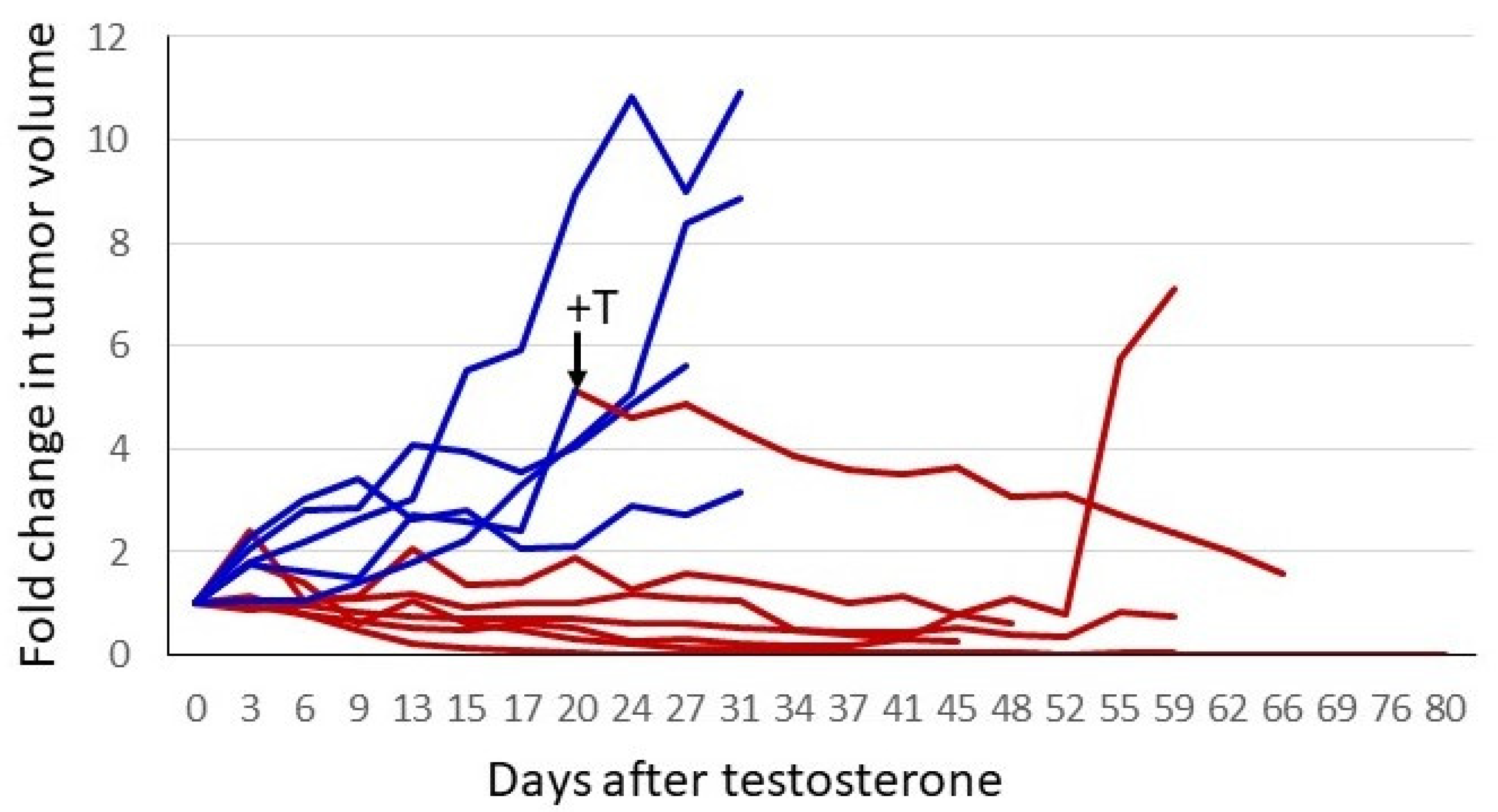 Life 11 00884 g004 Life 11 00884 g004