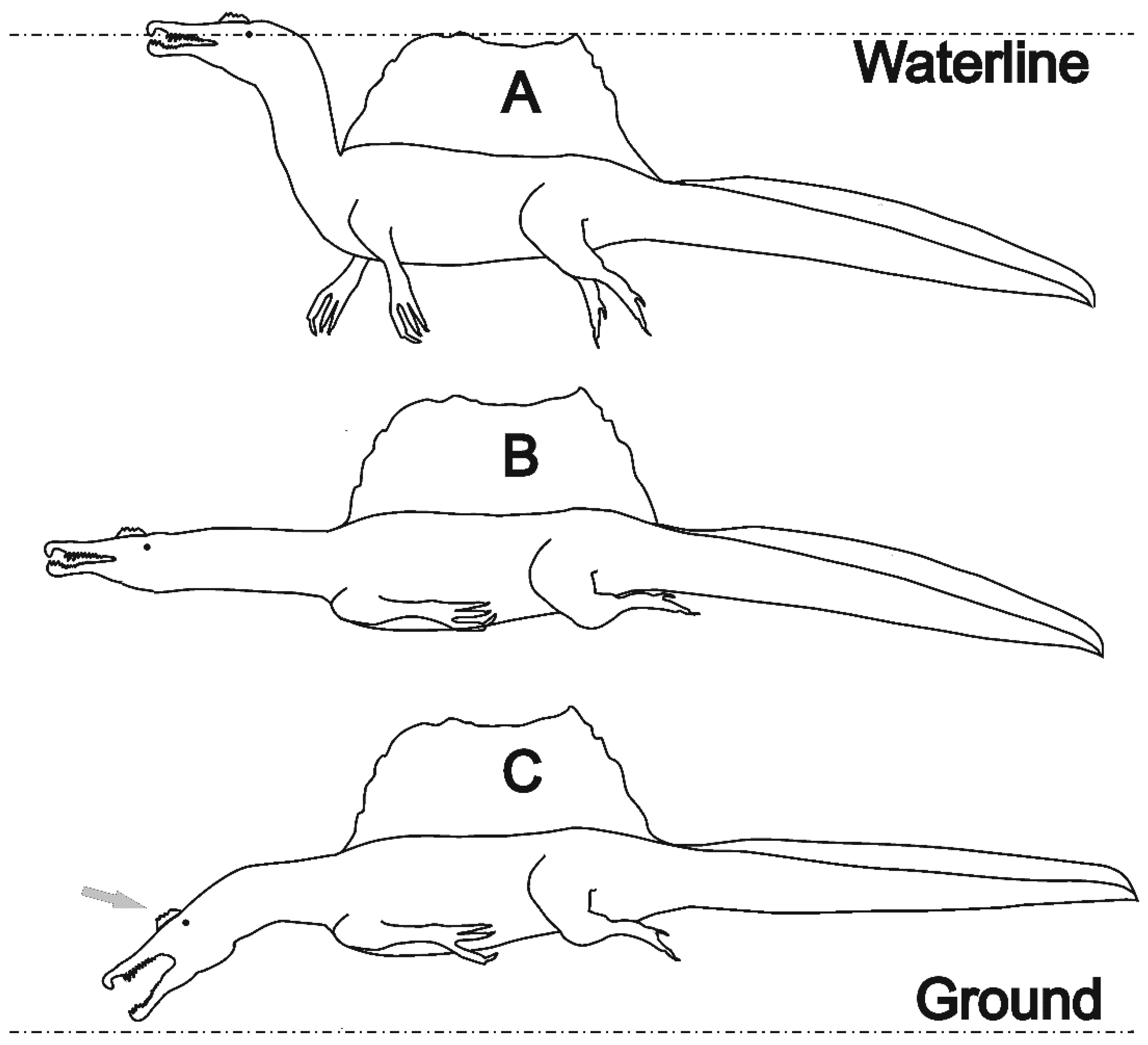 Life 11 00889 g001 Life 11 00889 g001