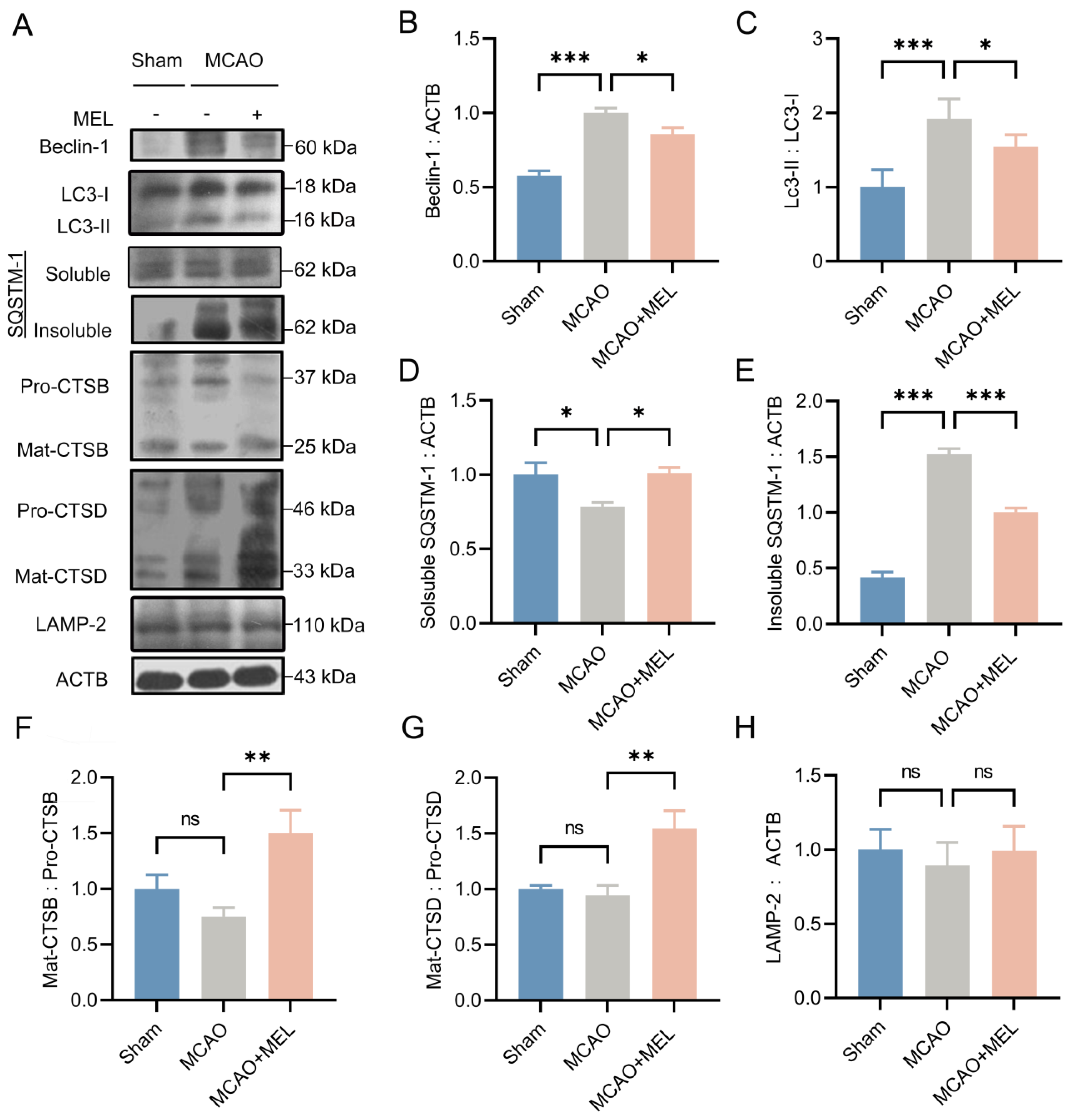 Life 11 00948 g001 Life 11 00948 g001