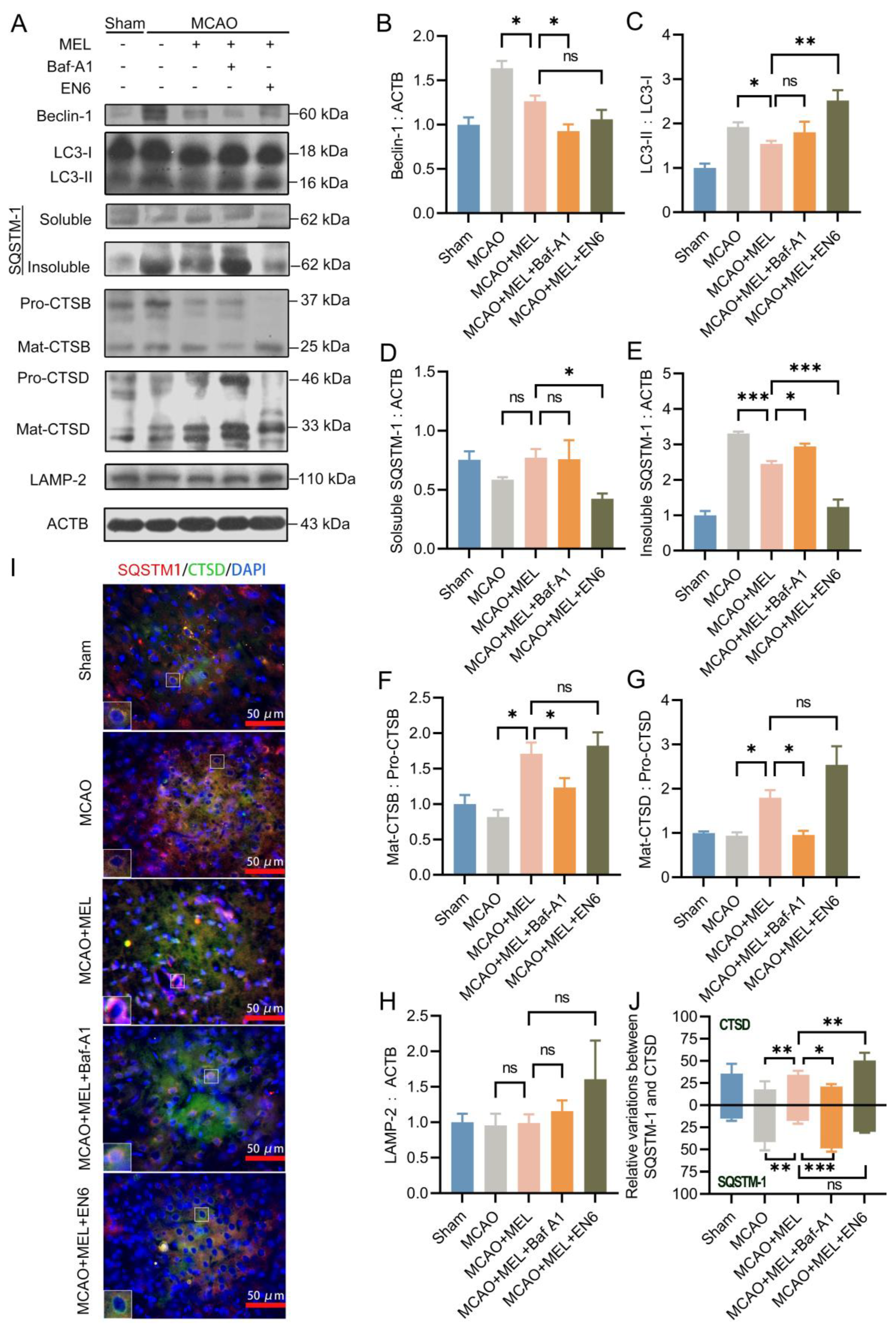 Life 11 00948 g003 Life 11 00948 g003
