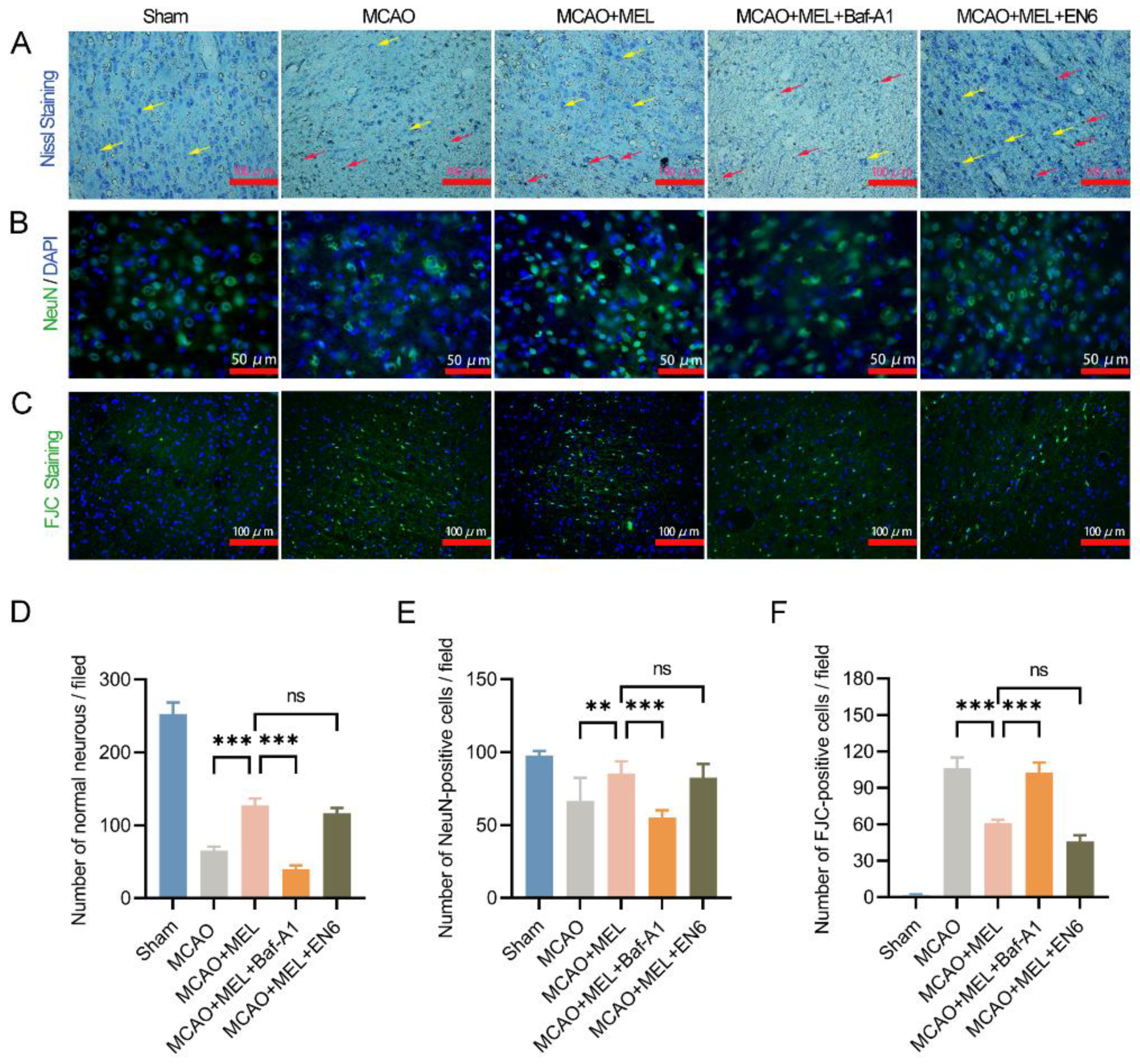 Life 11 00948 g004 Life 11 00948 g004