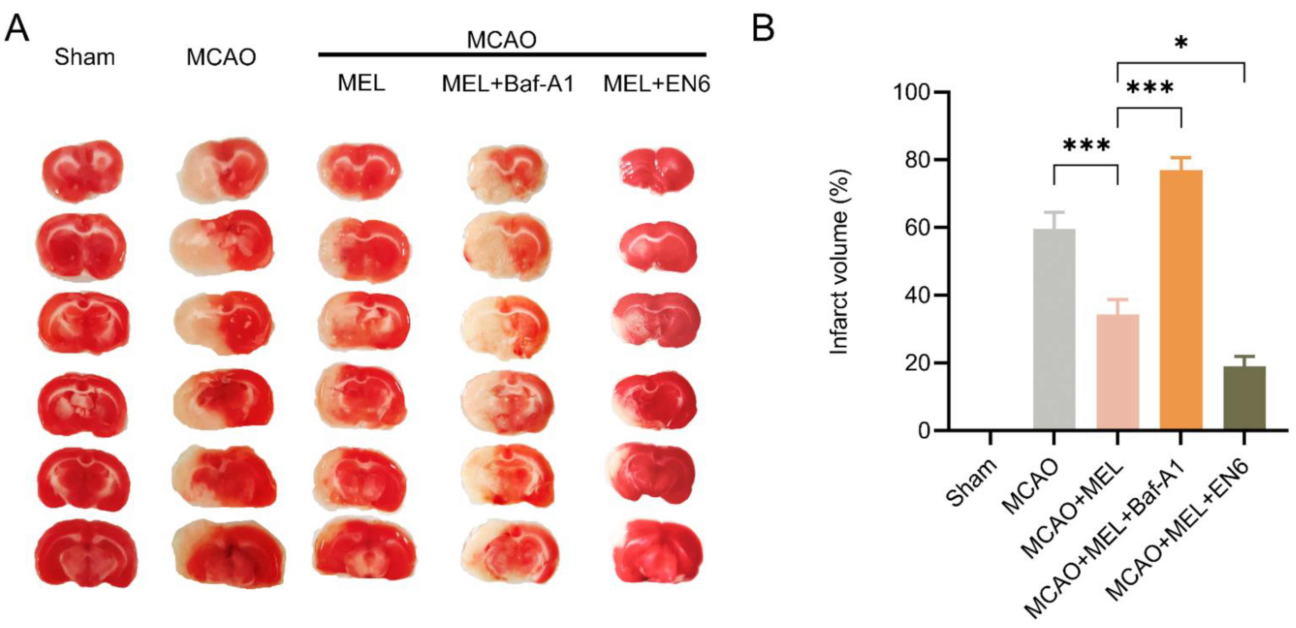 Life 11 00948 g005 Life 11 00948 g005