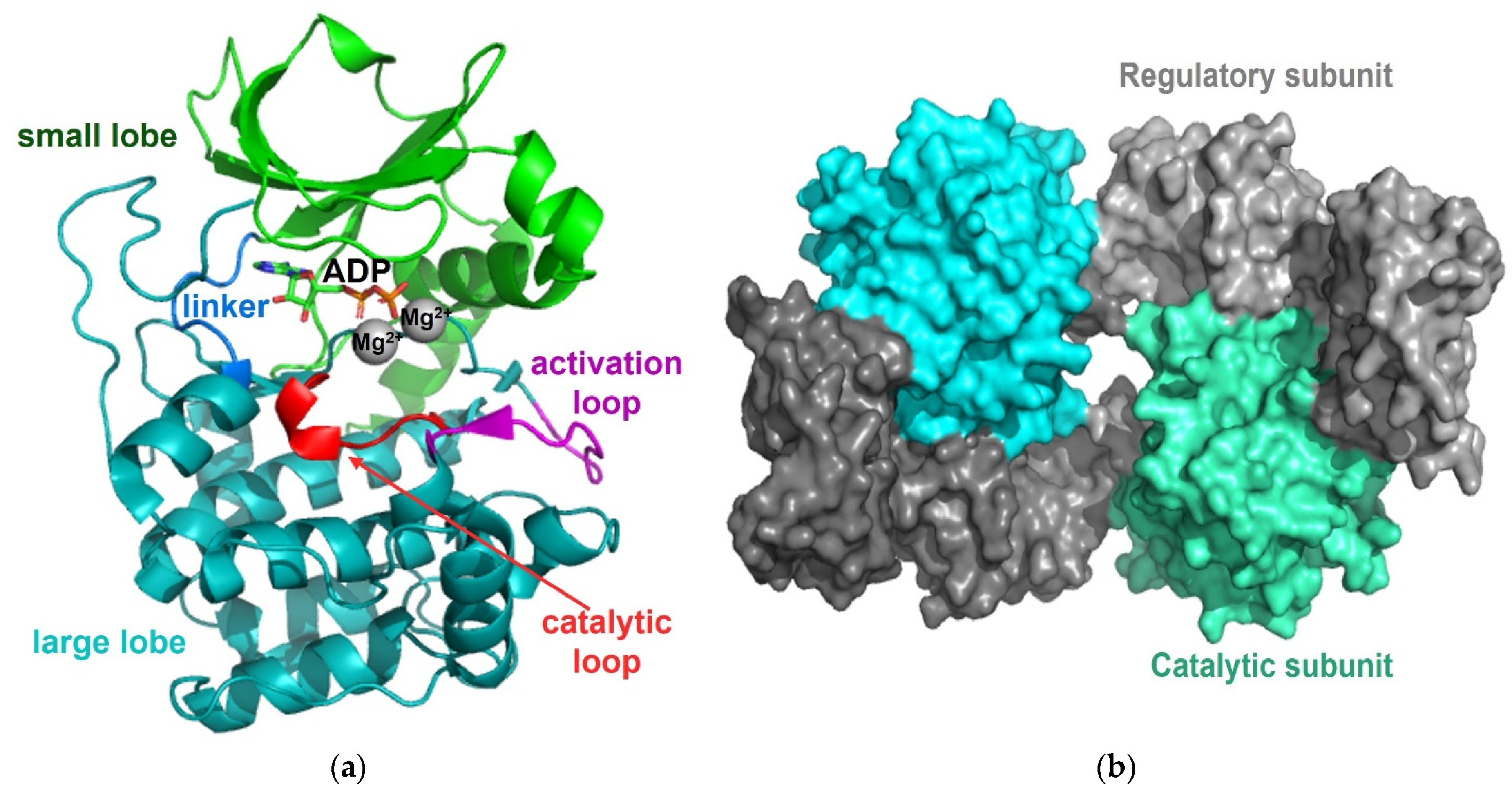 Life 11 00957 g002 Life 11 00957 g002