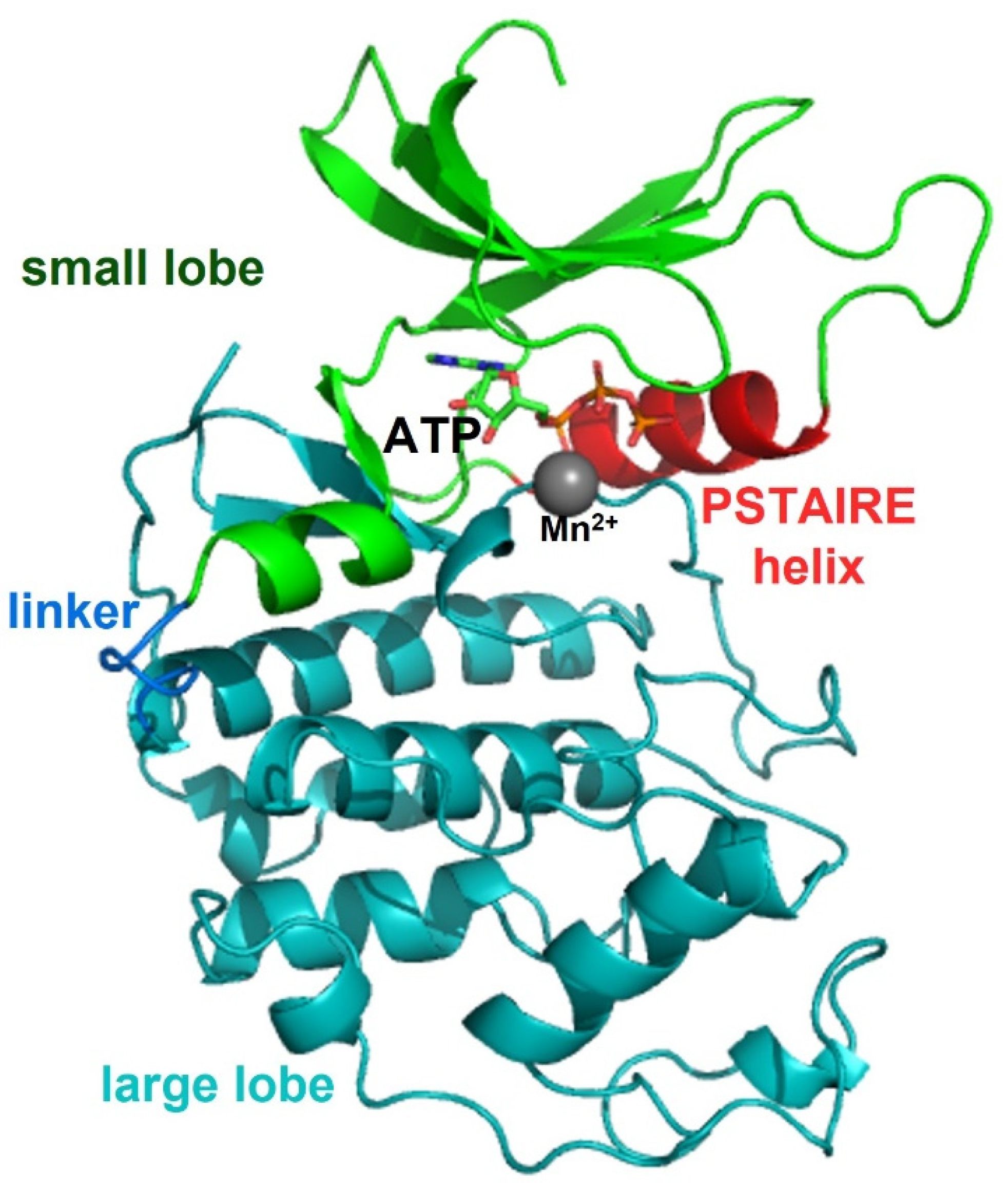 Life 11 00957 g003 Life 11 00957 g003