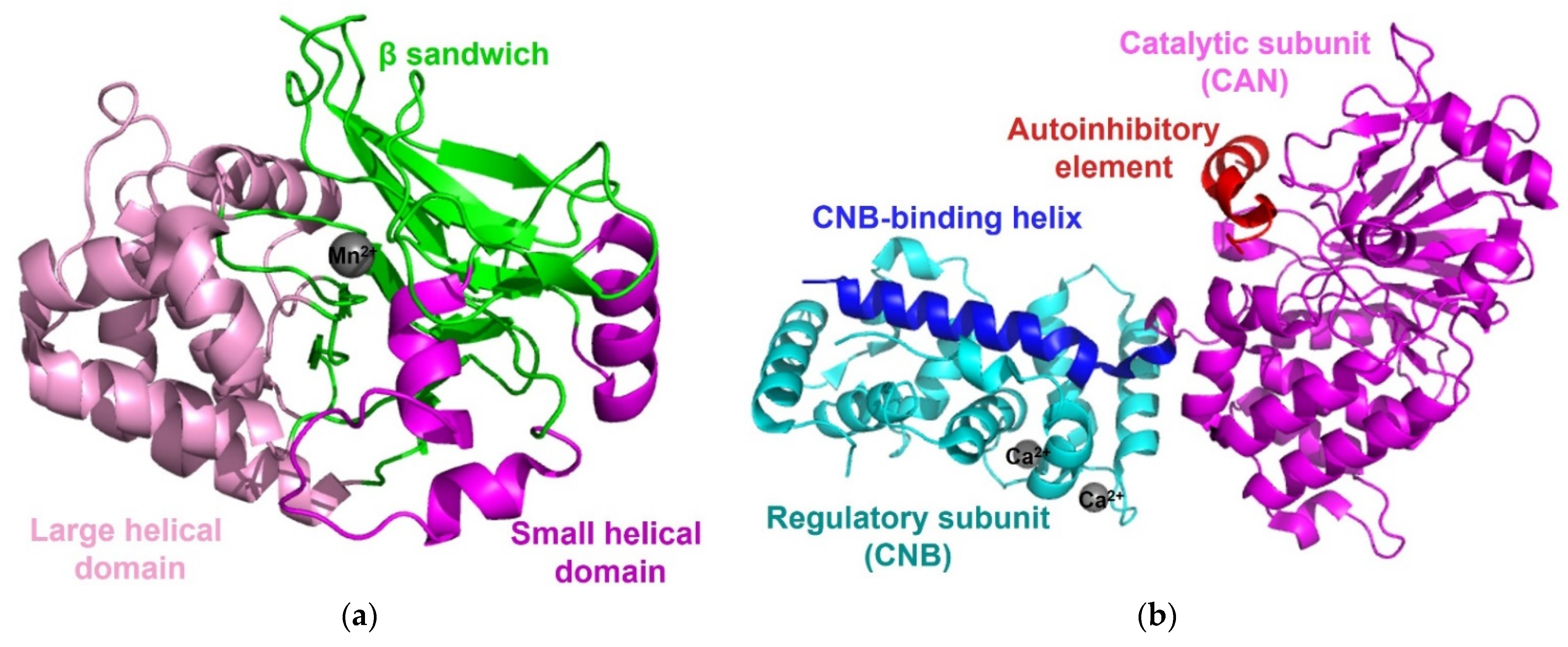 Life 11 00957 g004 Life 11 00957 g004