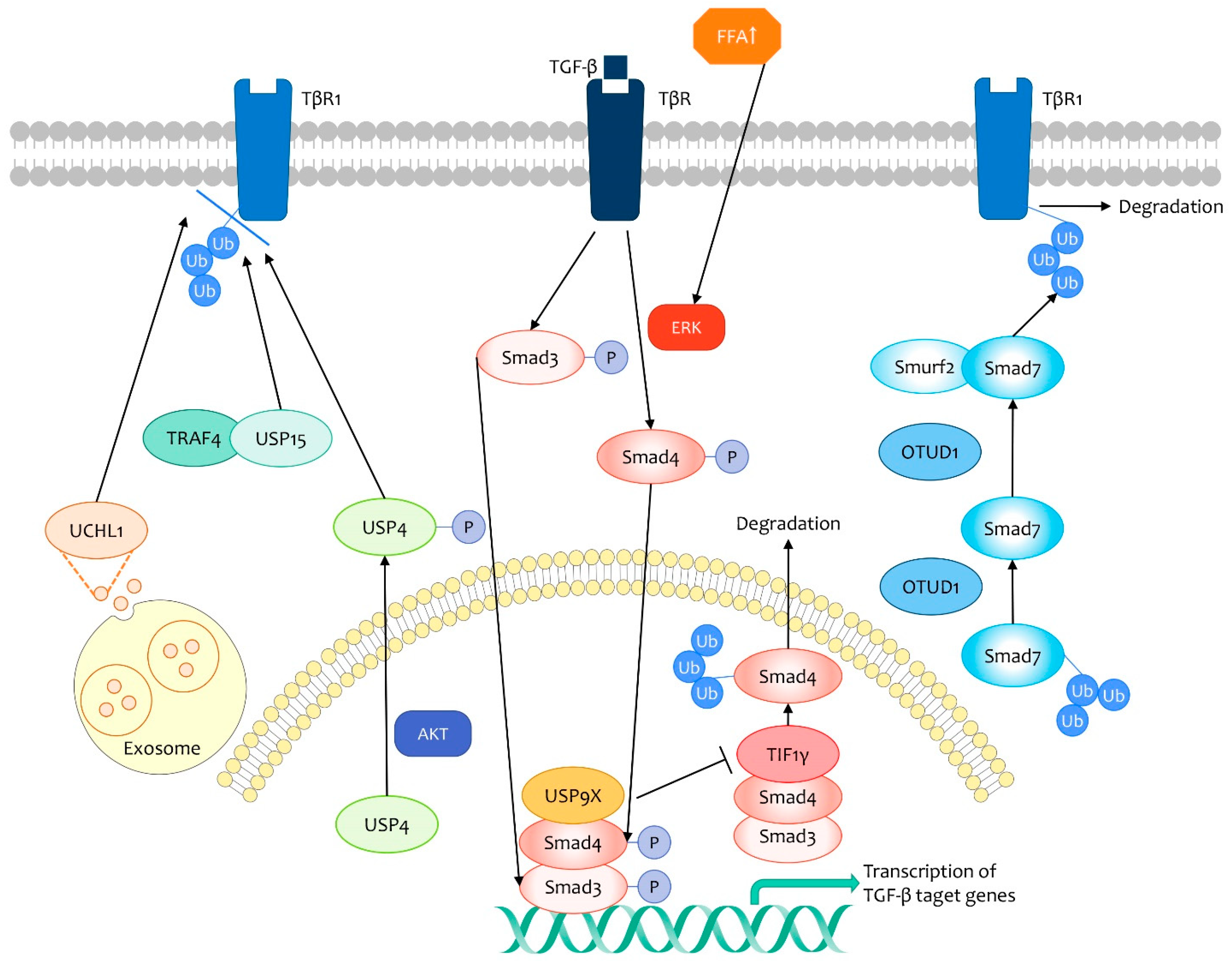 Life 11 00965 g003 Life 11 00965 g003
